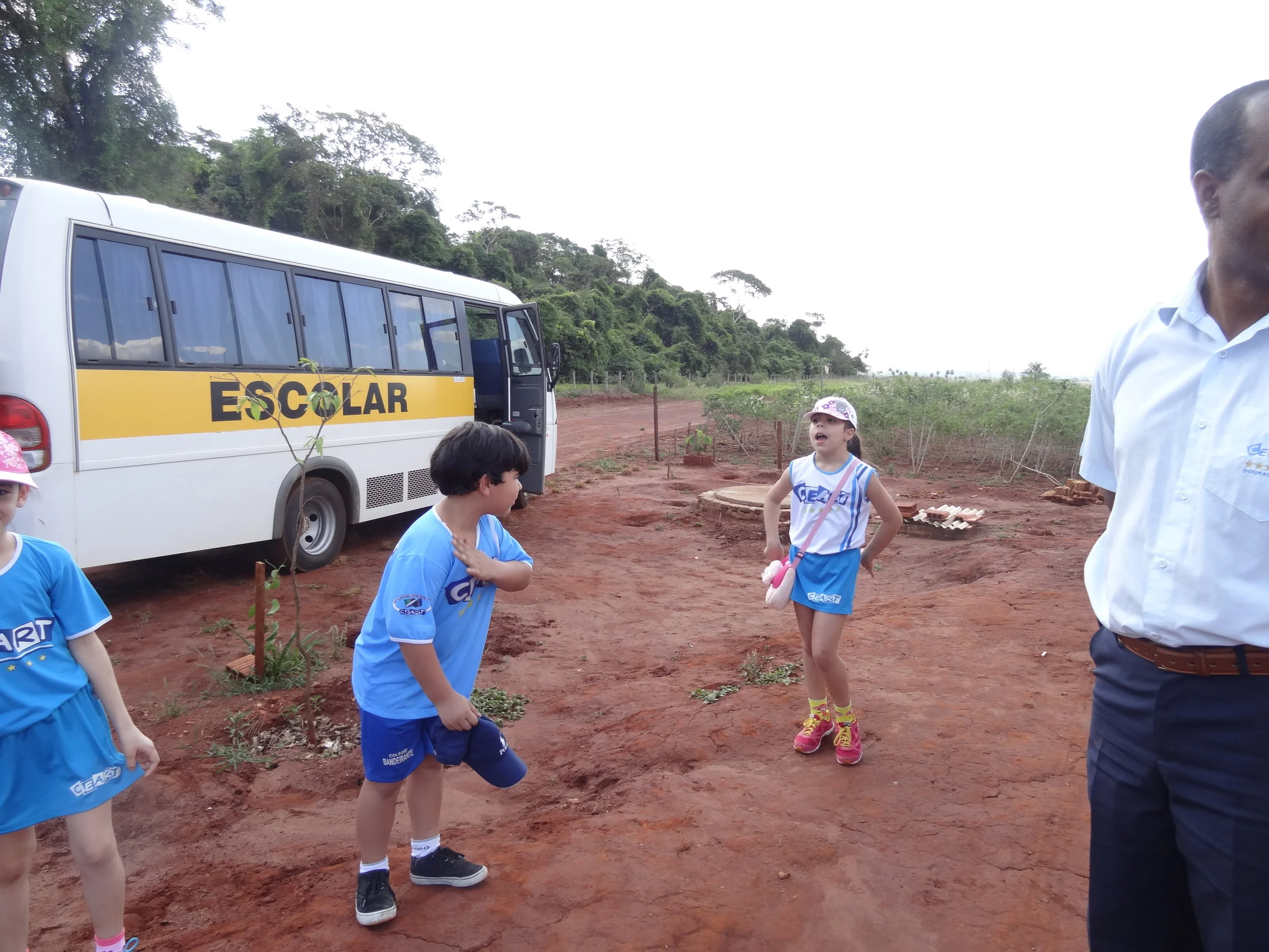 Projeto "Abelhas" - 2º ano B - Profª Eunice