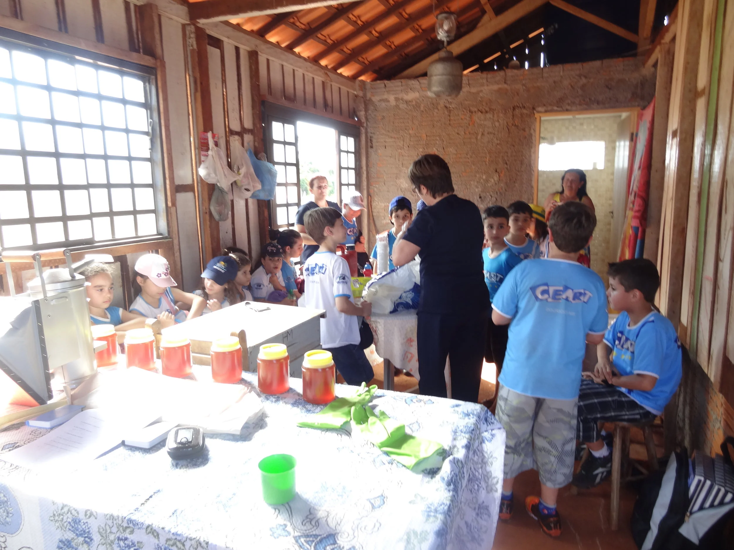 Projeto "Abelhas" - 2º ano B - Profª Eunice