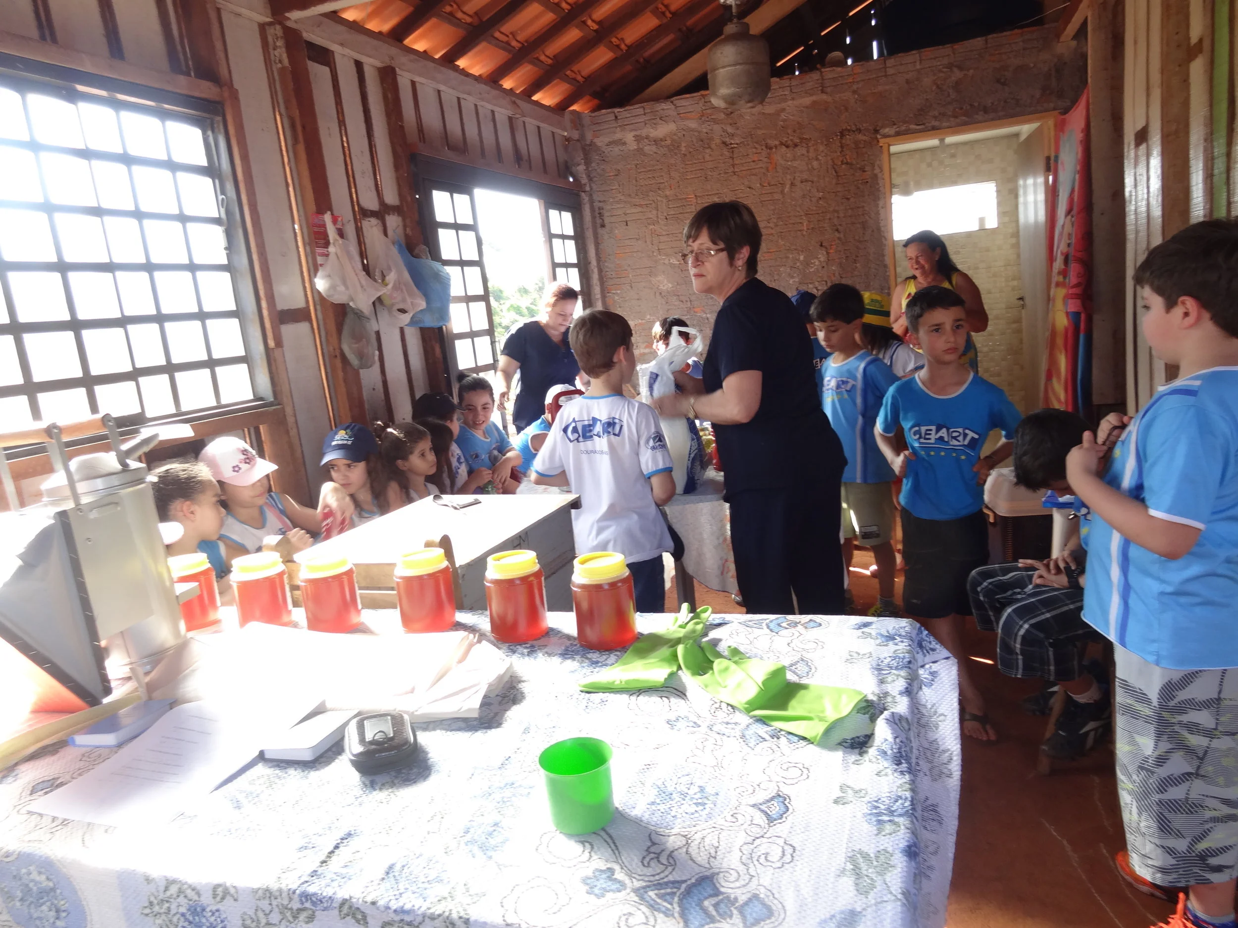 Projeto "Abelhas" - 2º ano B - Profª Eunice