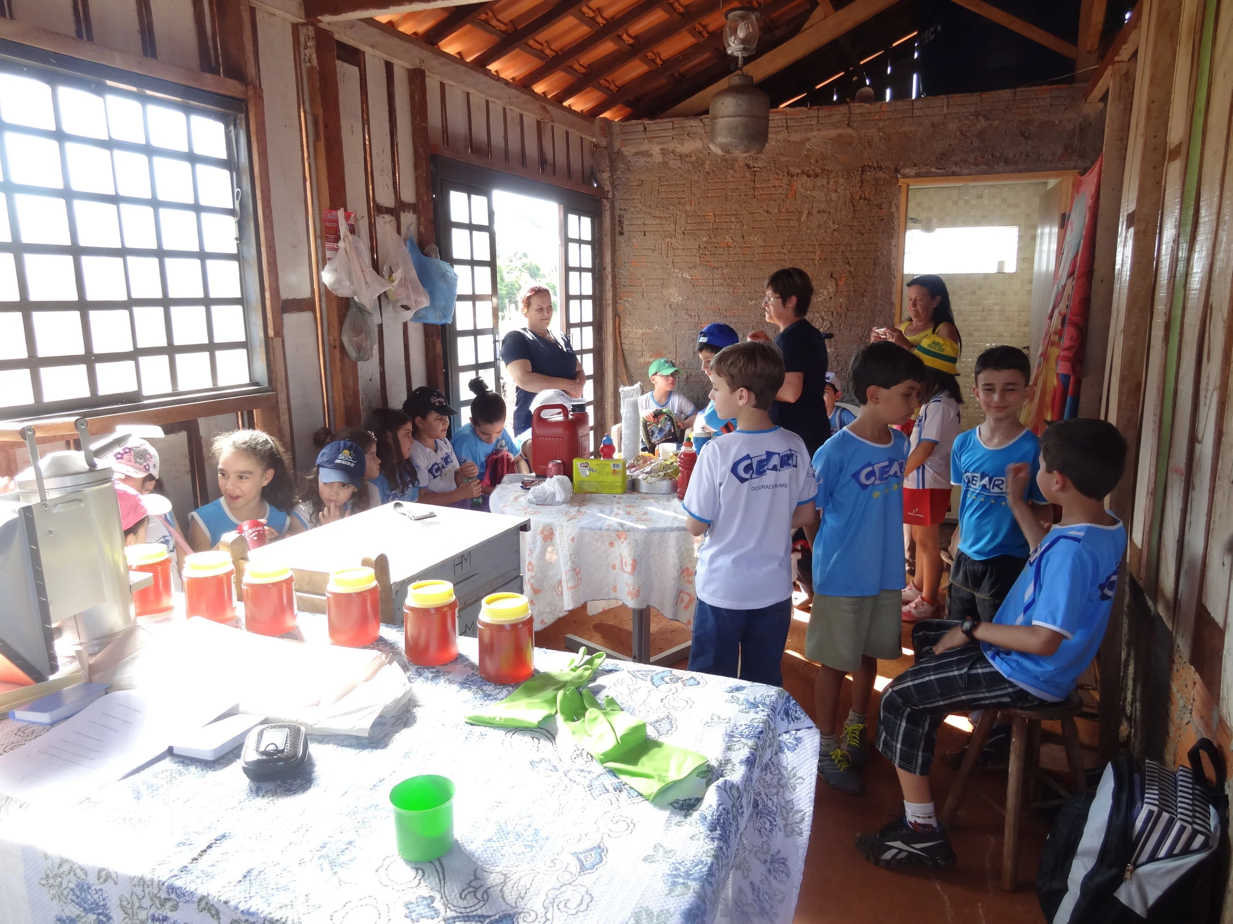 Projeto "Abelhas" - 2º ano B - Profª Eunice