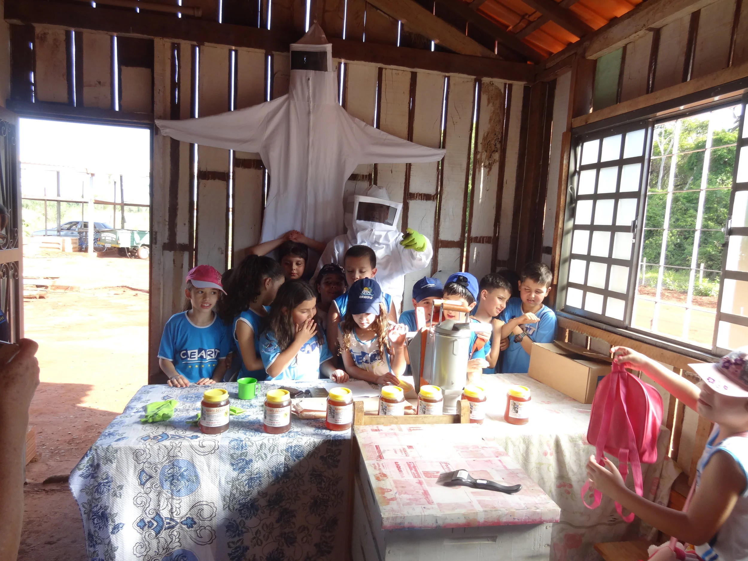 Projeto "Abelhas" - 2º ano B - Profª Eunice