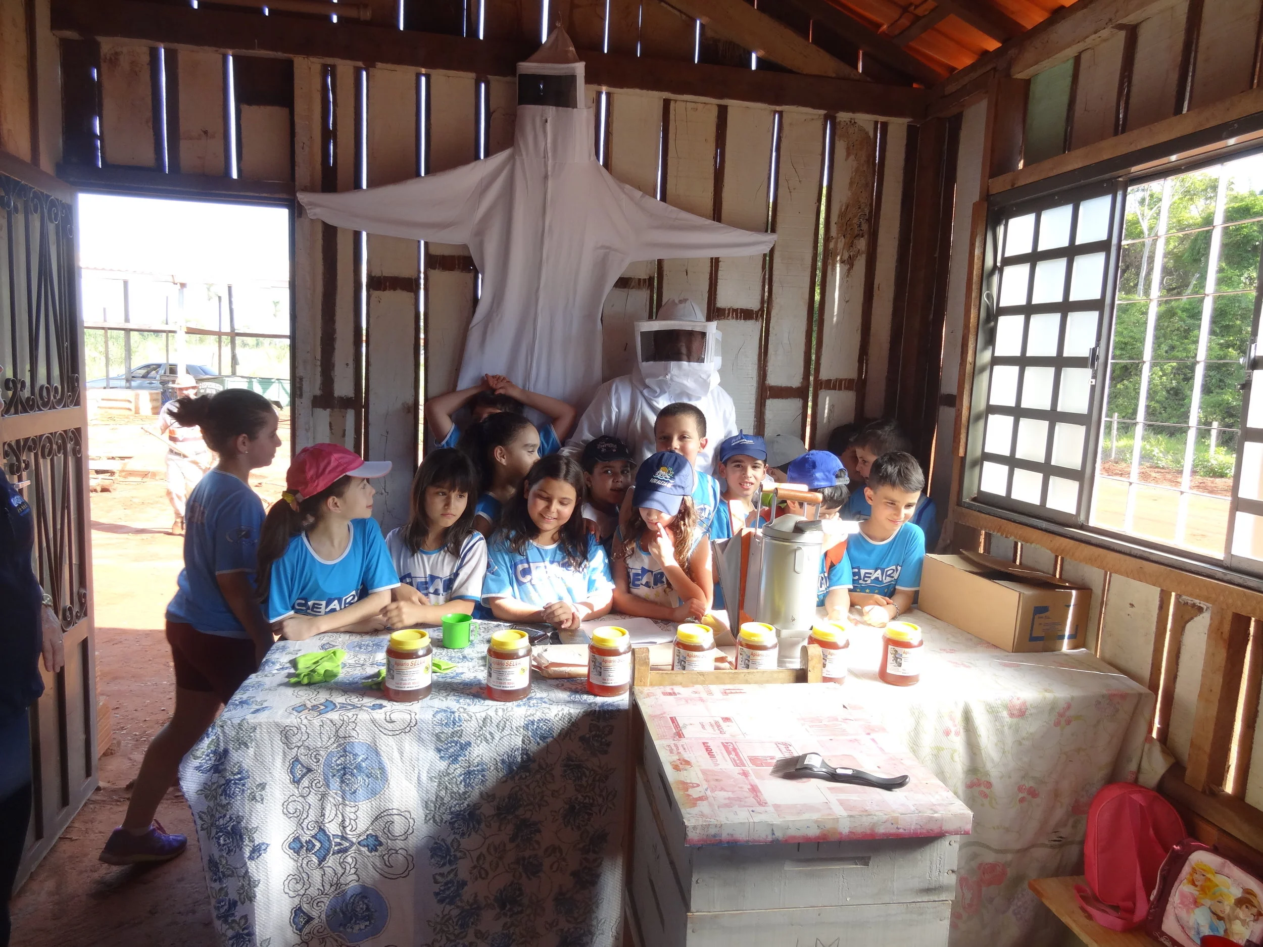 Projeto "Abelhas" - 2º ano B - Profª Eunice