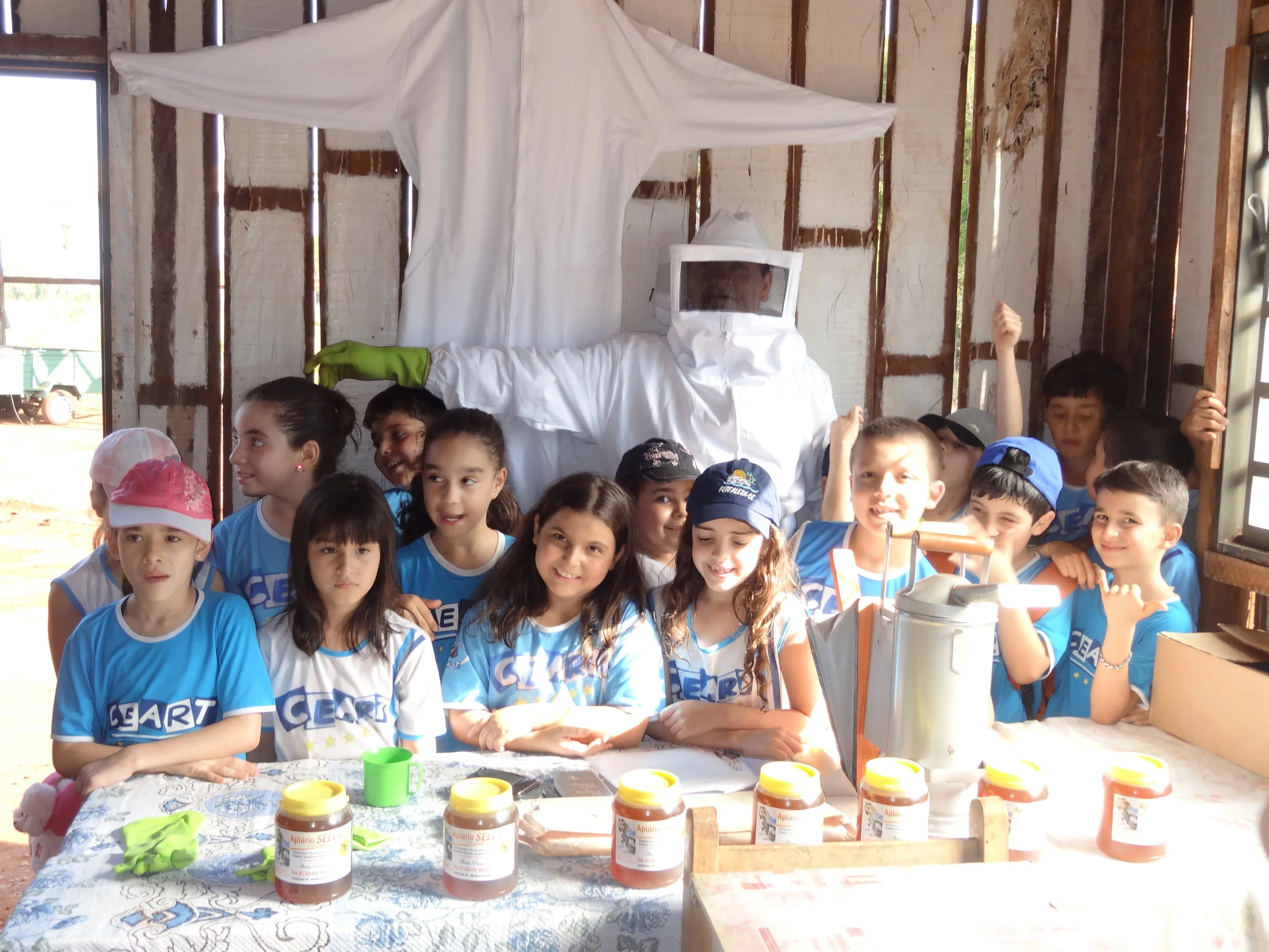 Projeto "Abelhas" - 2º ano B - Profª Eunice