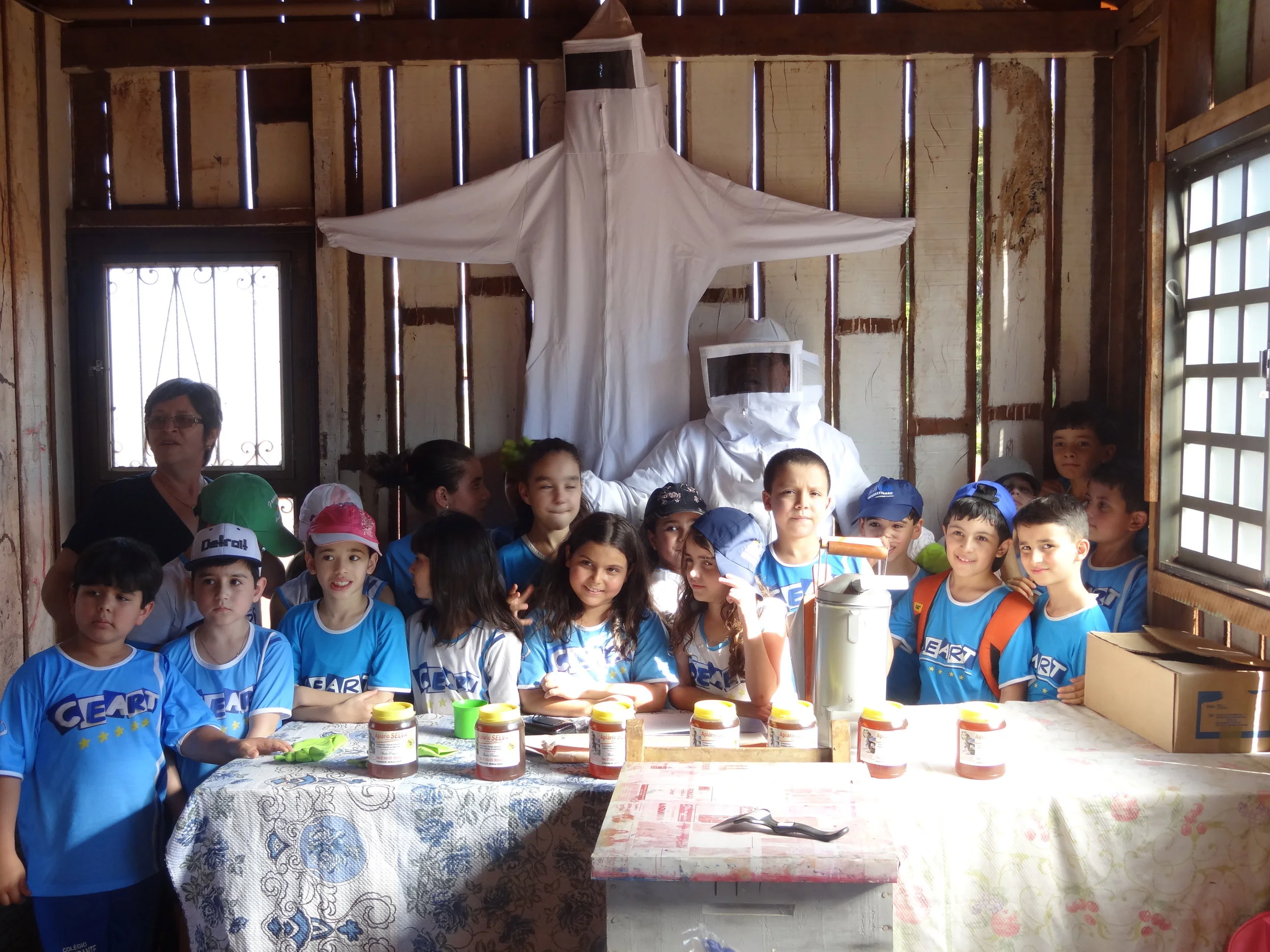 Projeto "Abelhas" - 2º ano B - Profª Eunice