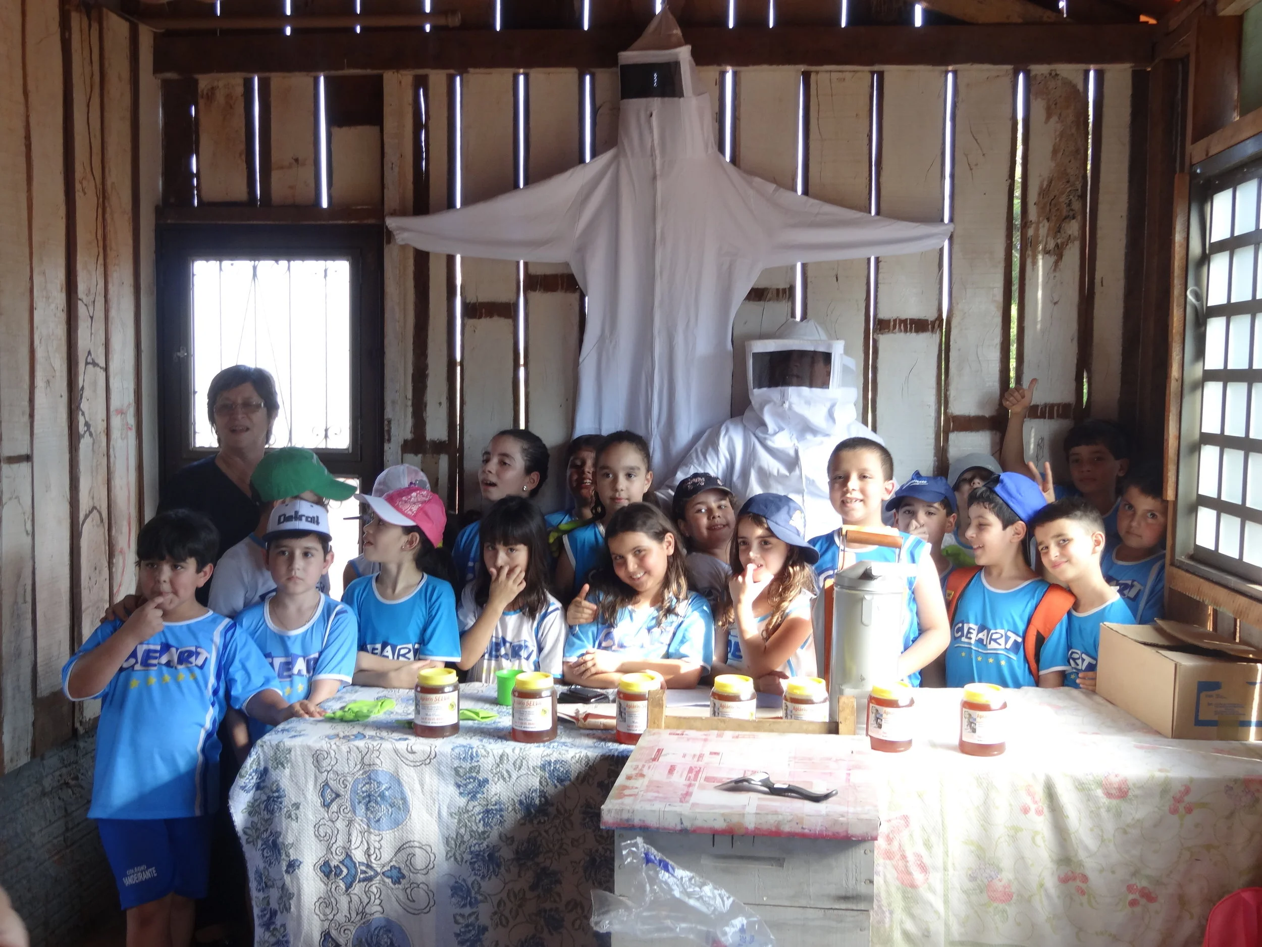 Projeto "Abelhas" - 2º ano B - Profª Eunice