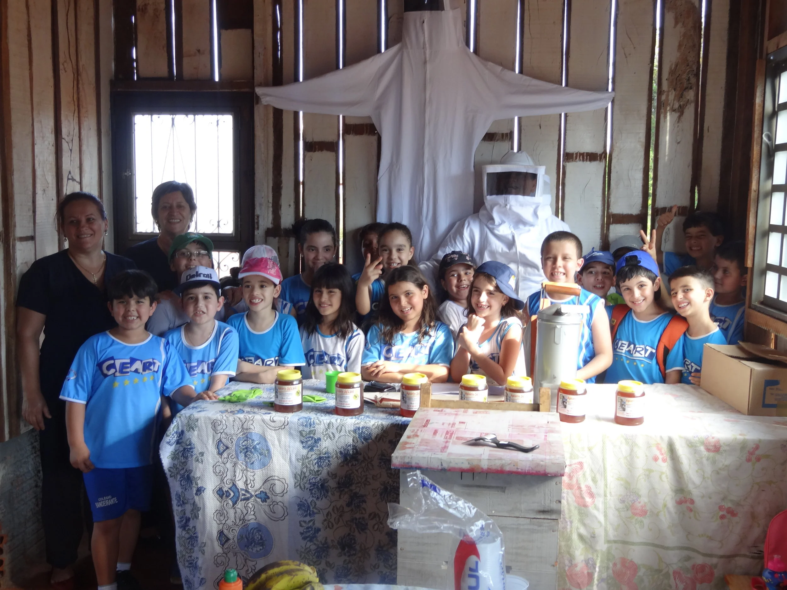 Projeto "Abelhas" - 2º ano B - Profª Eunice
