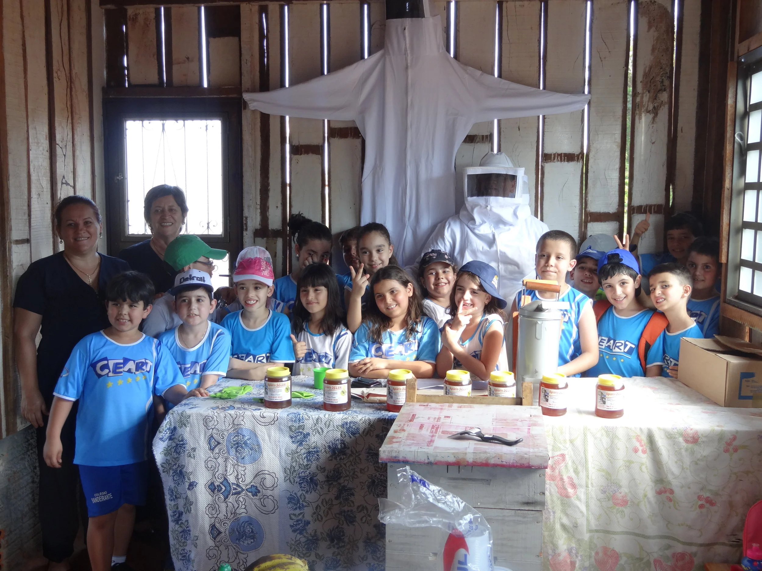 Projeto "Abelhas" - 2º ano B - Profª Eunice