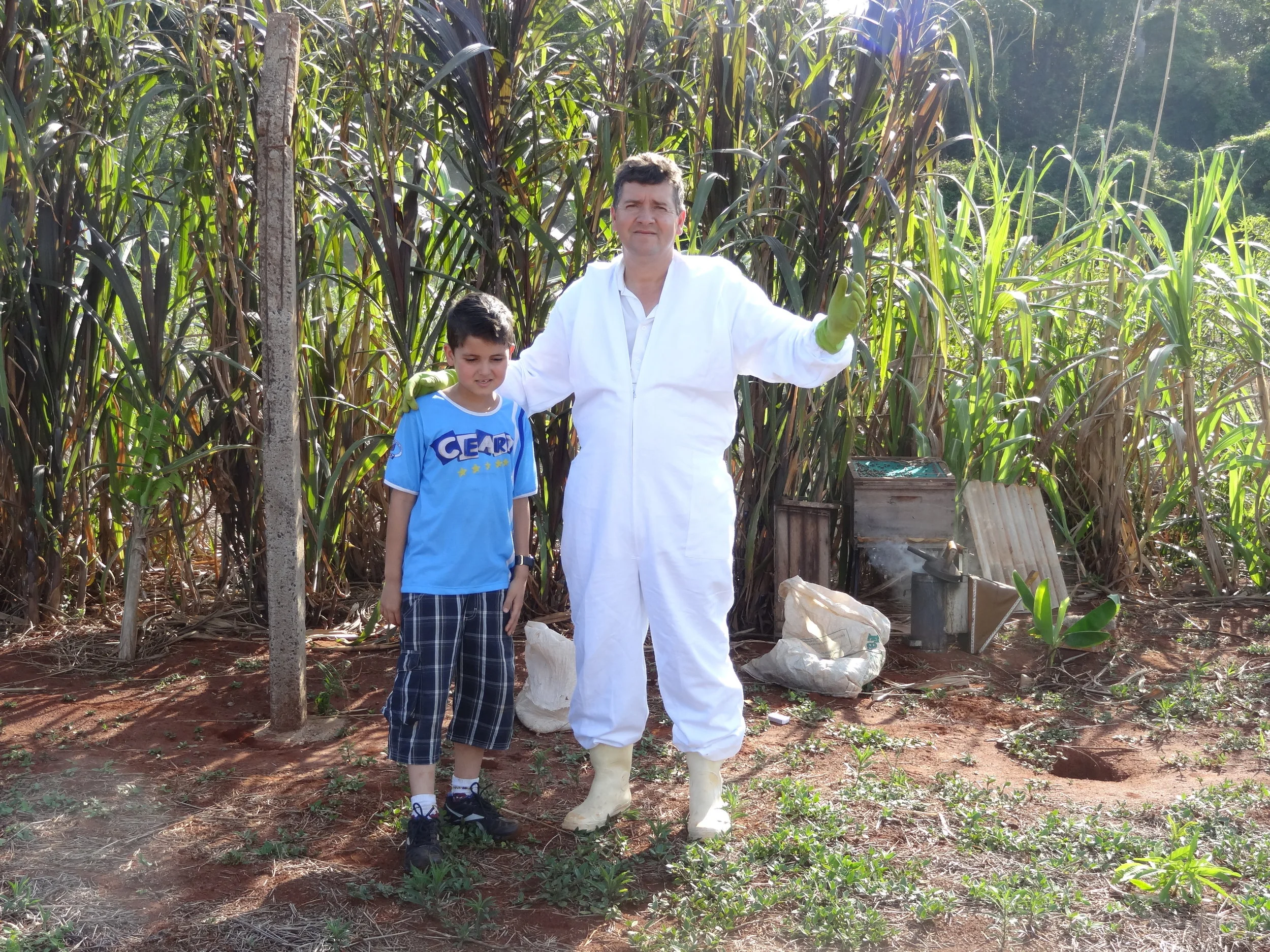 Projeto "Abelhas" - 2º ano B - Profª Eunice