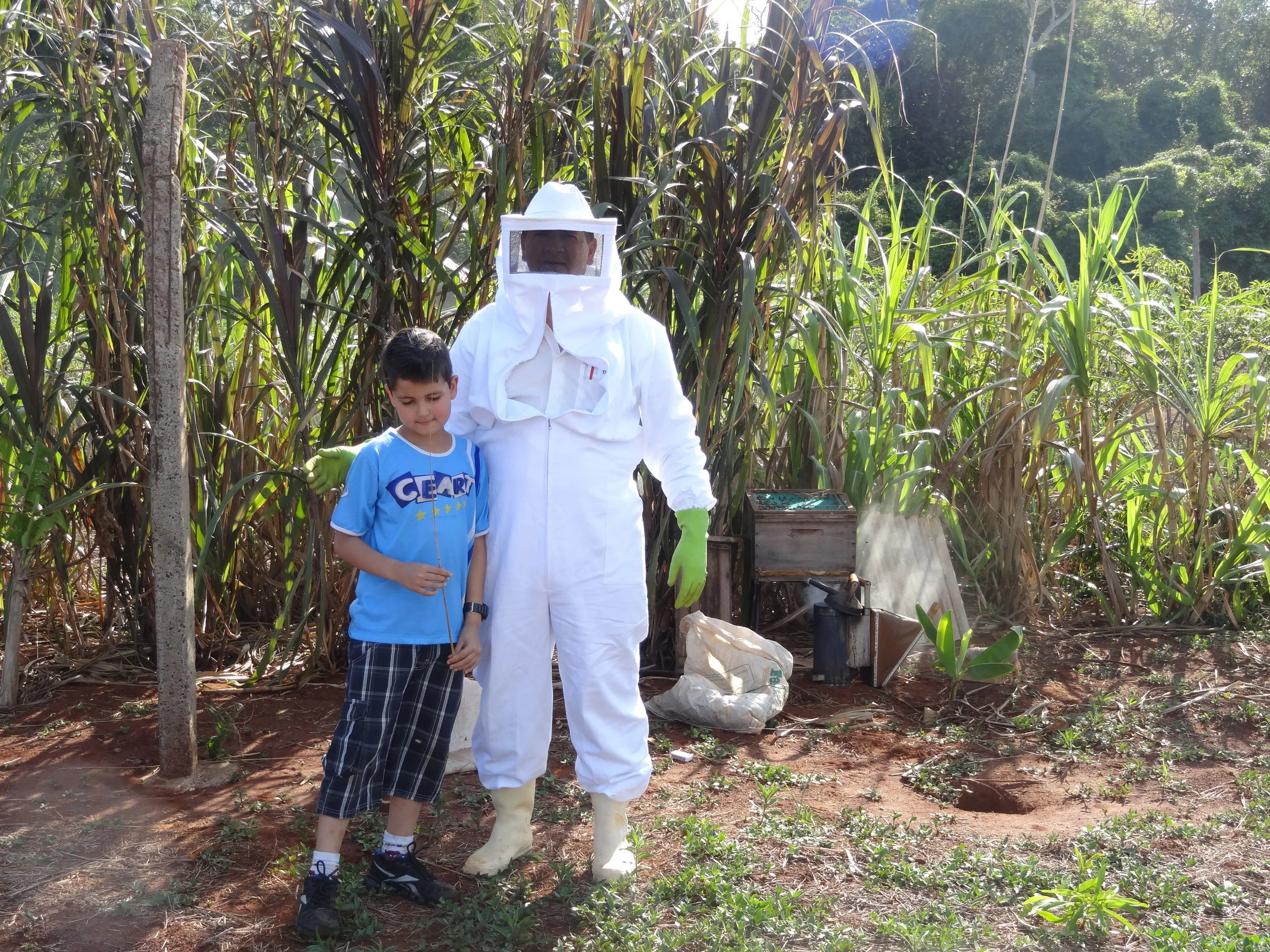 Projeto "Abelhas" - 2º ano B - Profª Eunice
