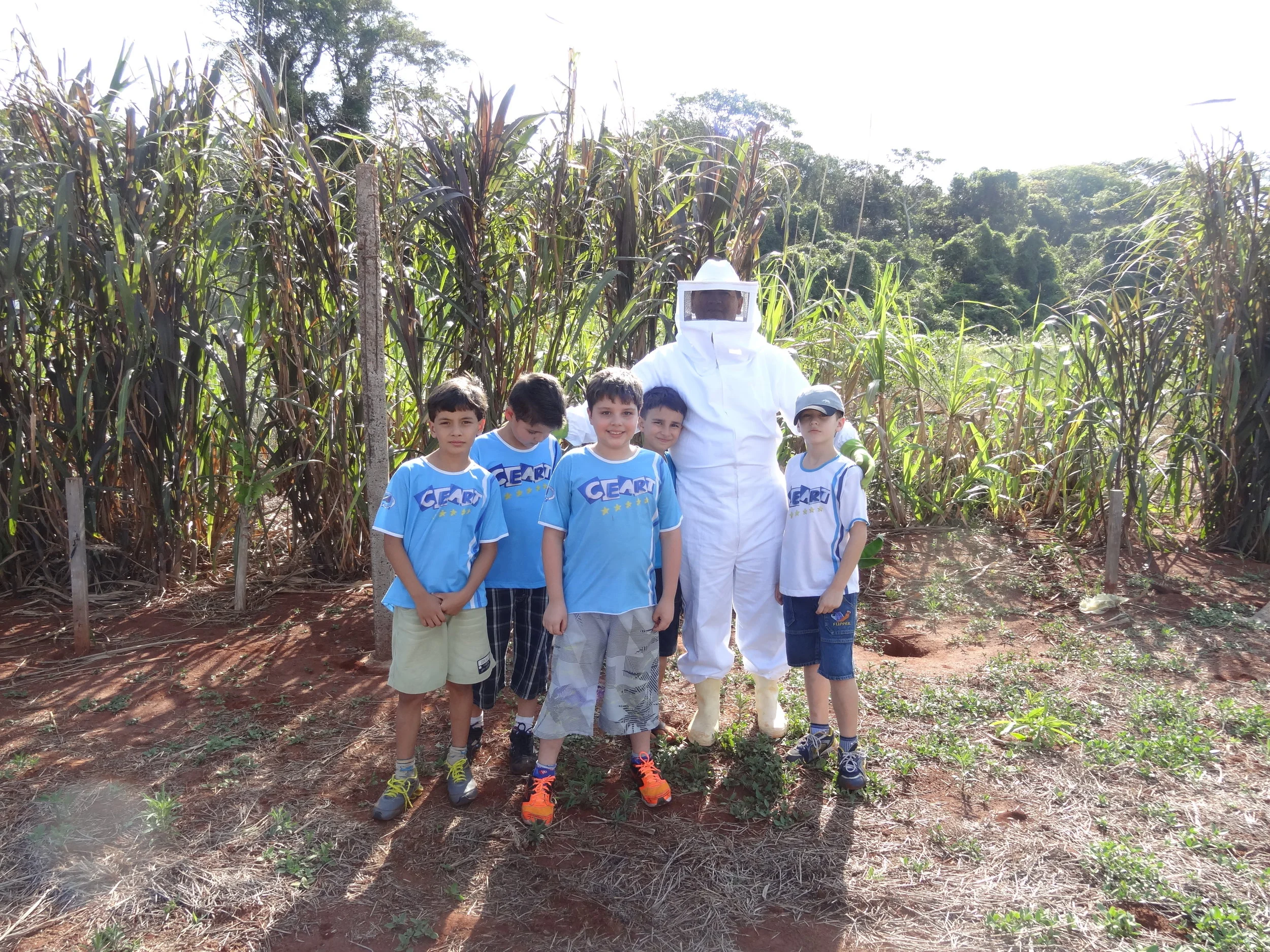 Projeto "Abelhas" - 2º ano B - Profª Eunice