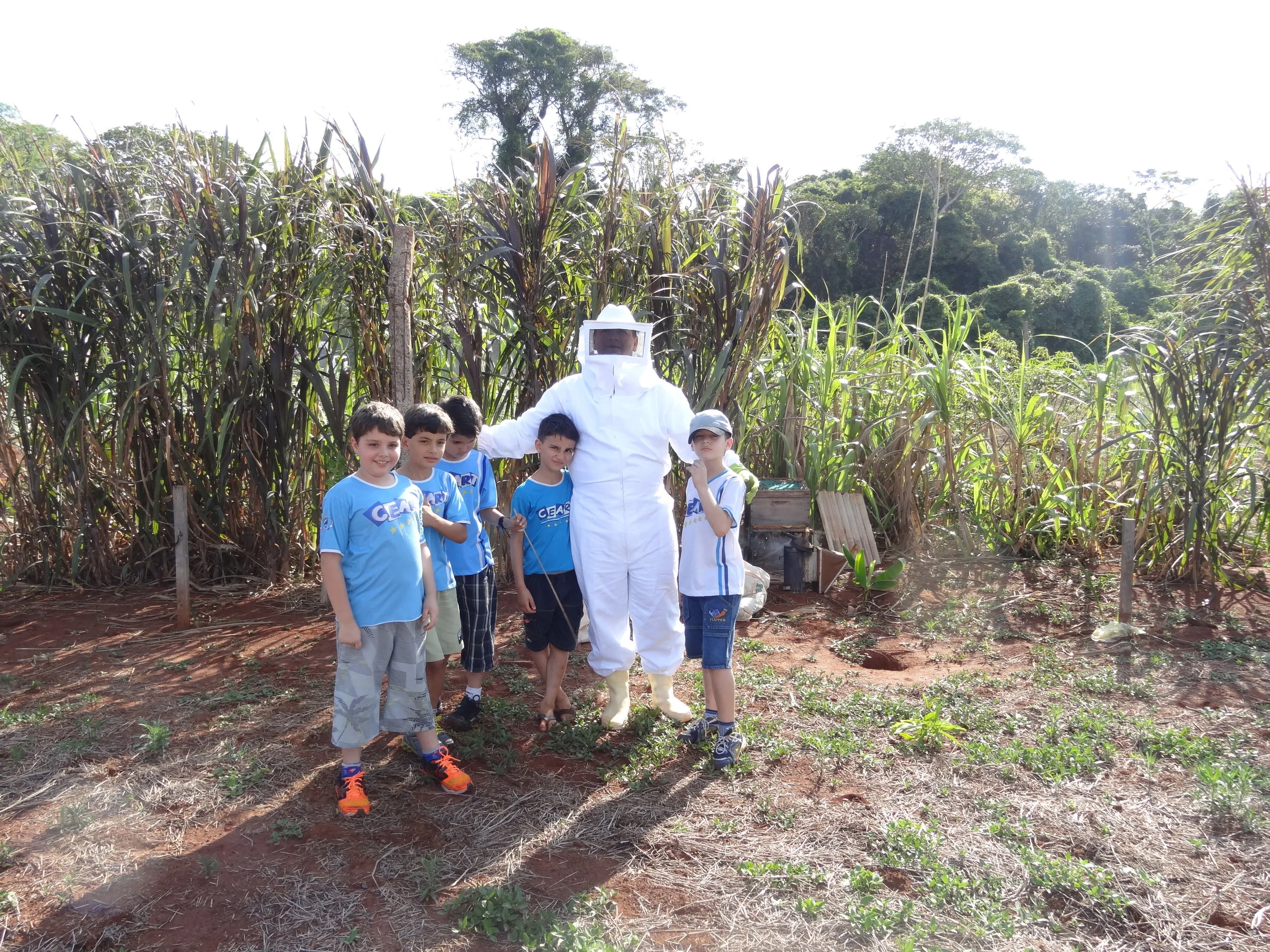 Projeto "Abelhas" - 2º ano B - Profª Eunice