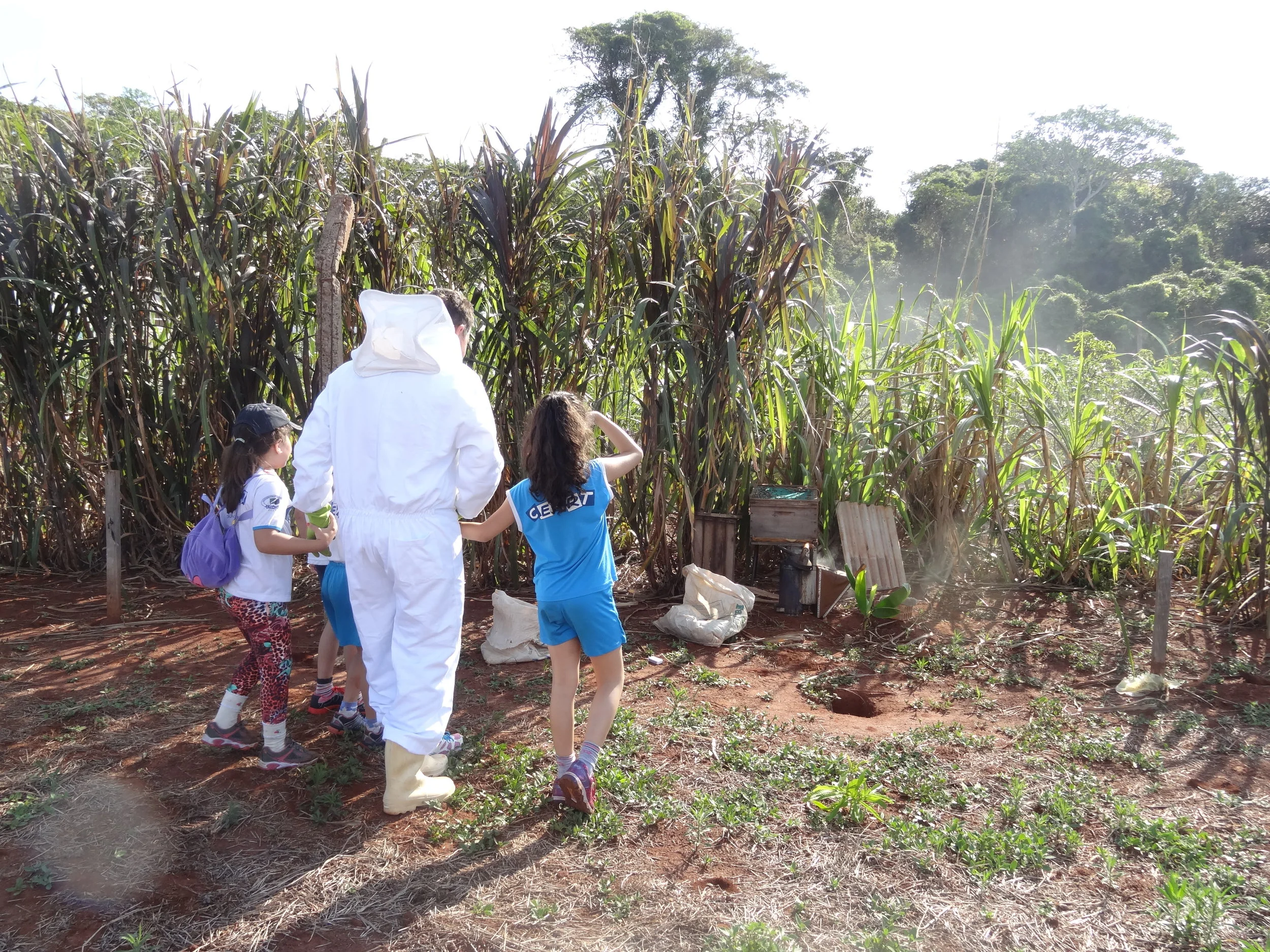 Projeto "Abelhas" - 2º ano B - Profª Eunice