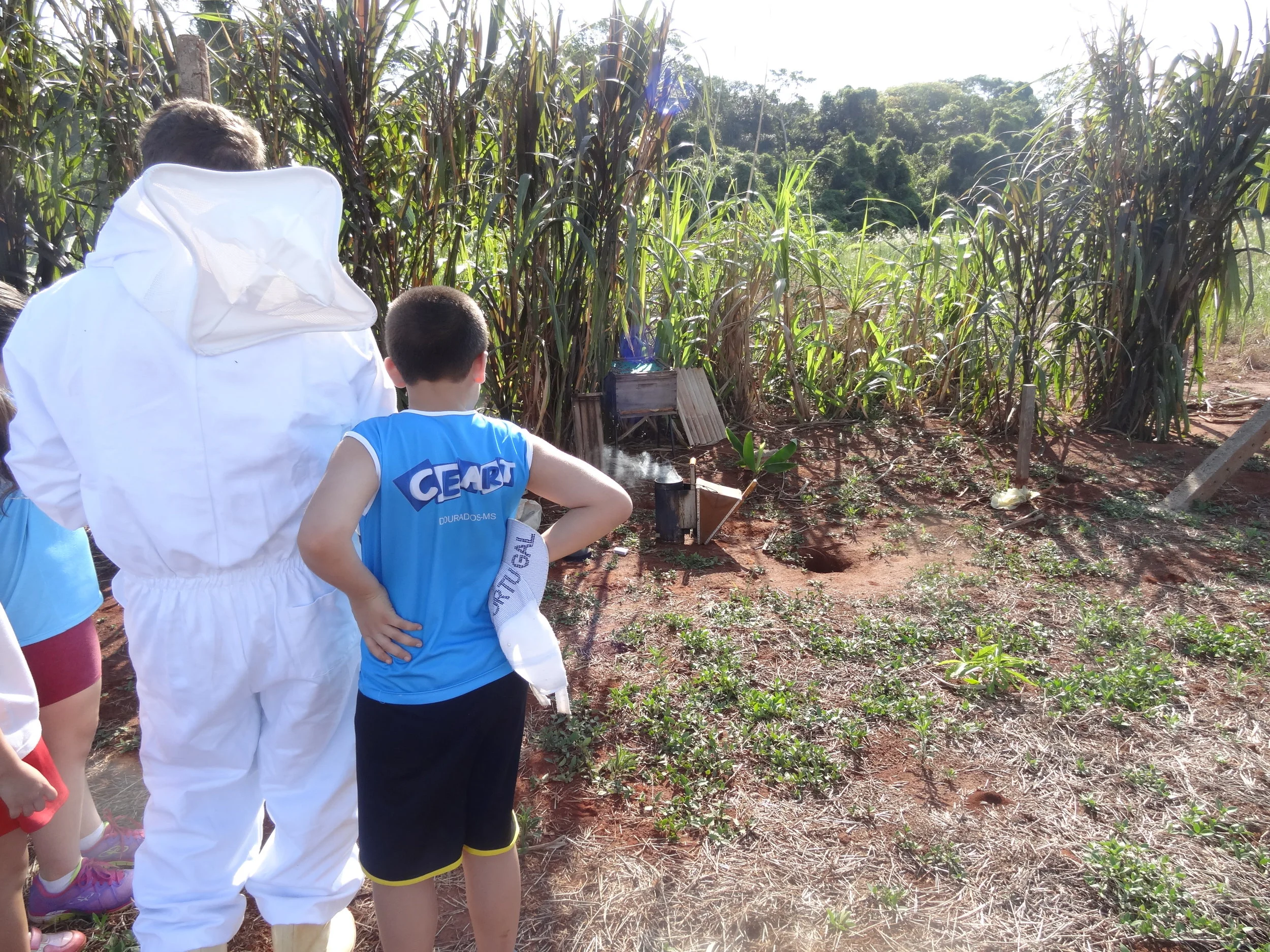 Projeto "Abelhas" - 2º ano B - Profª Eunice