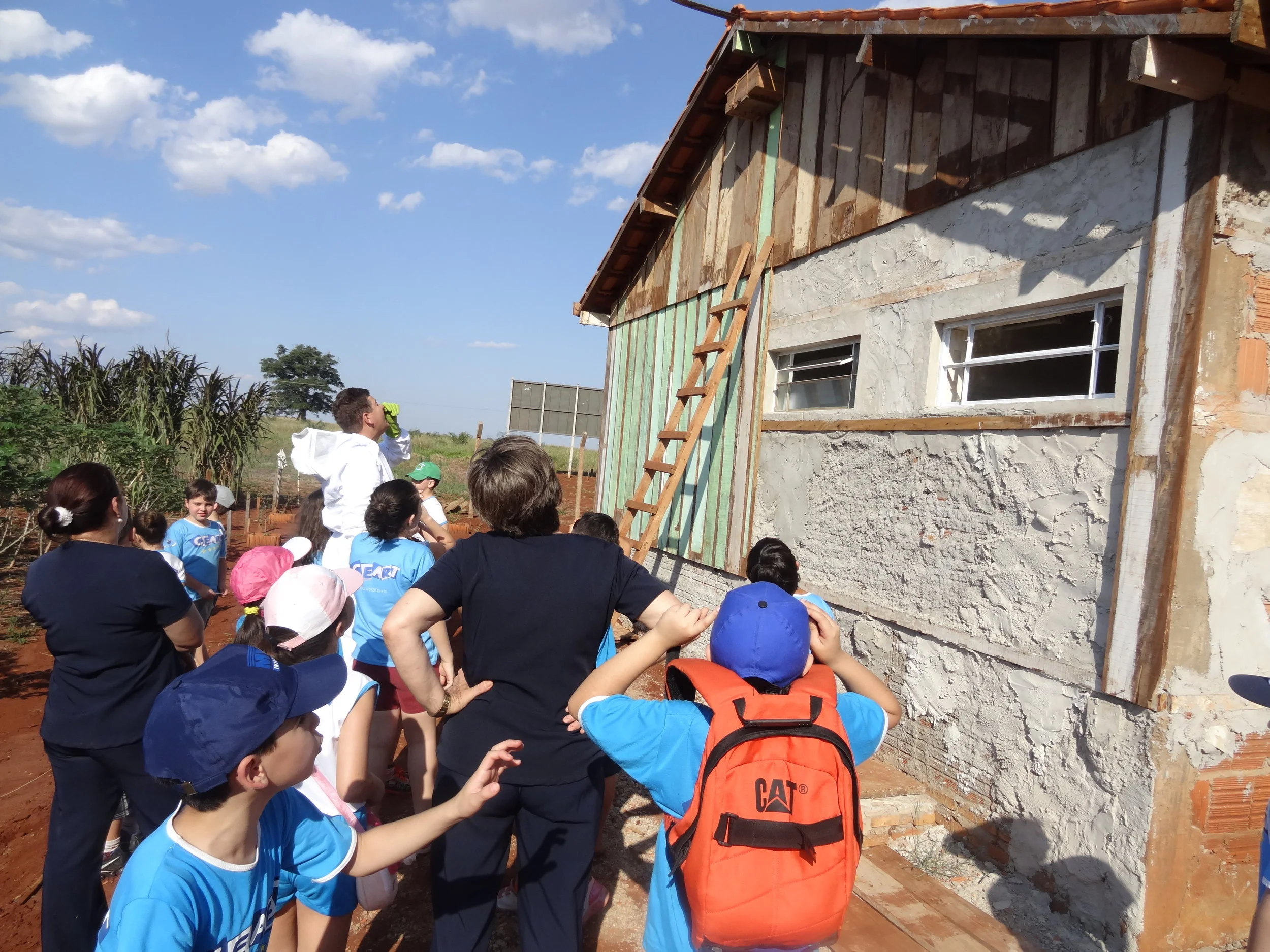 Projeto "Abelhas" - 2º ano B - Profª Eunice