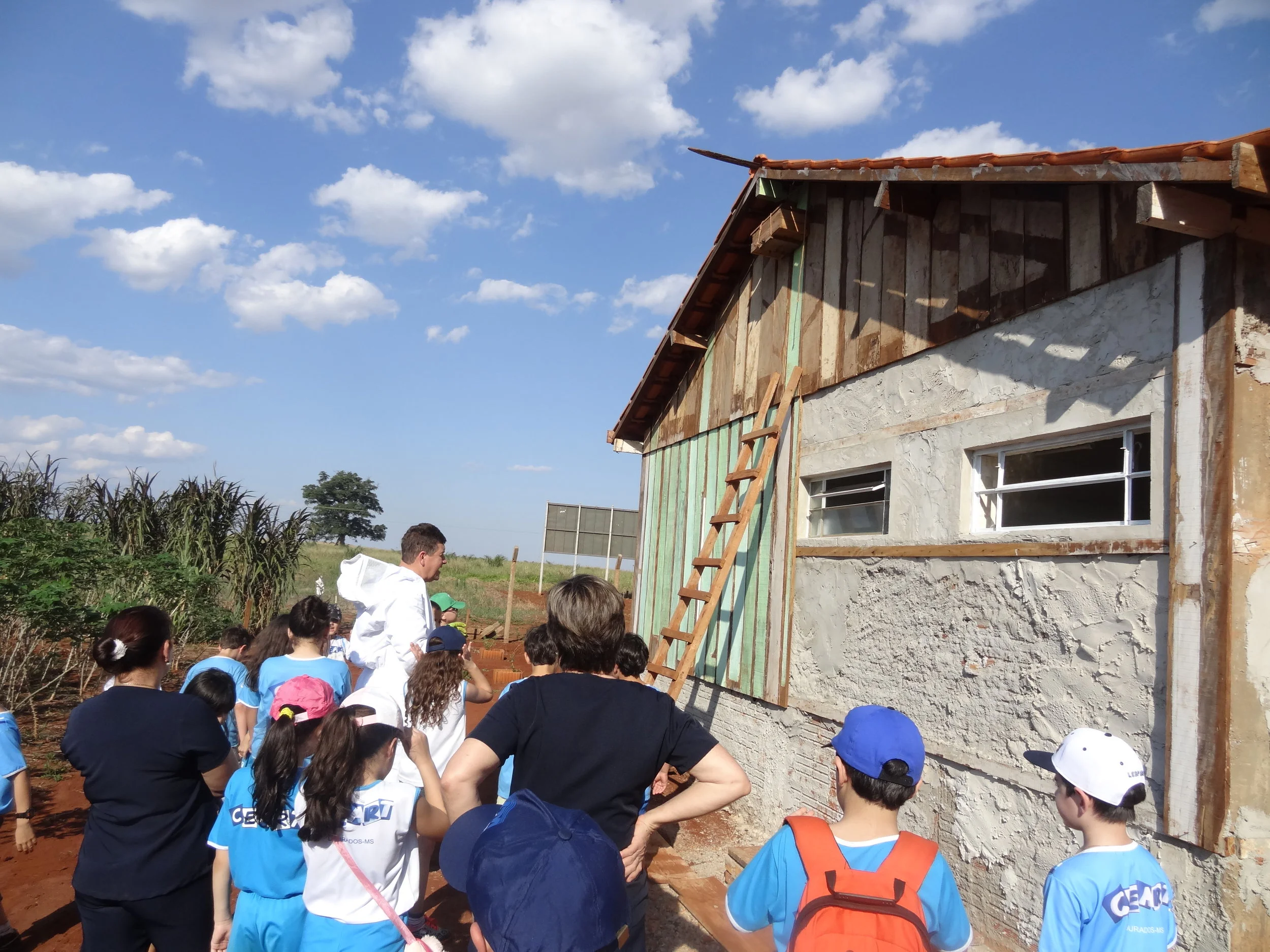 Projeto "Abelhas" - 2º ano B - Profª Eunice