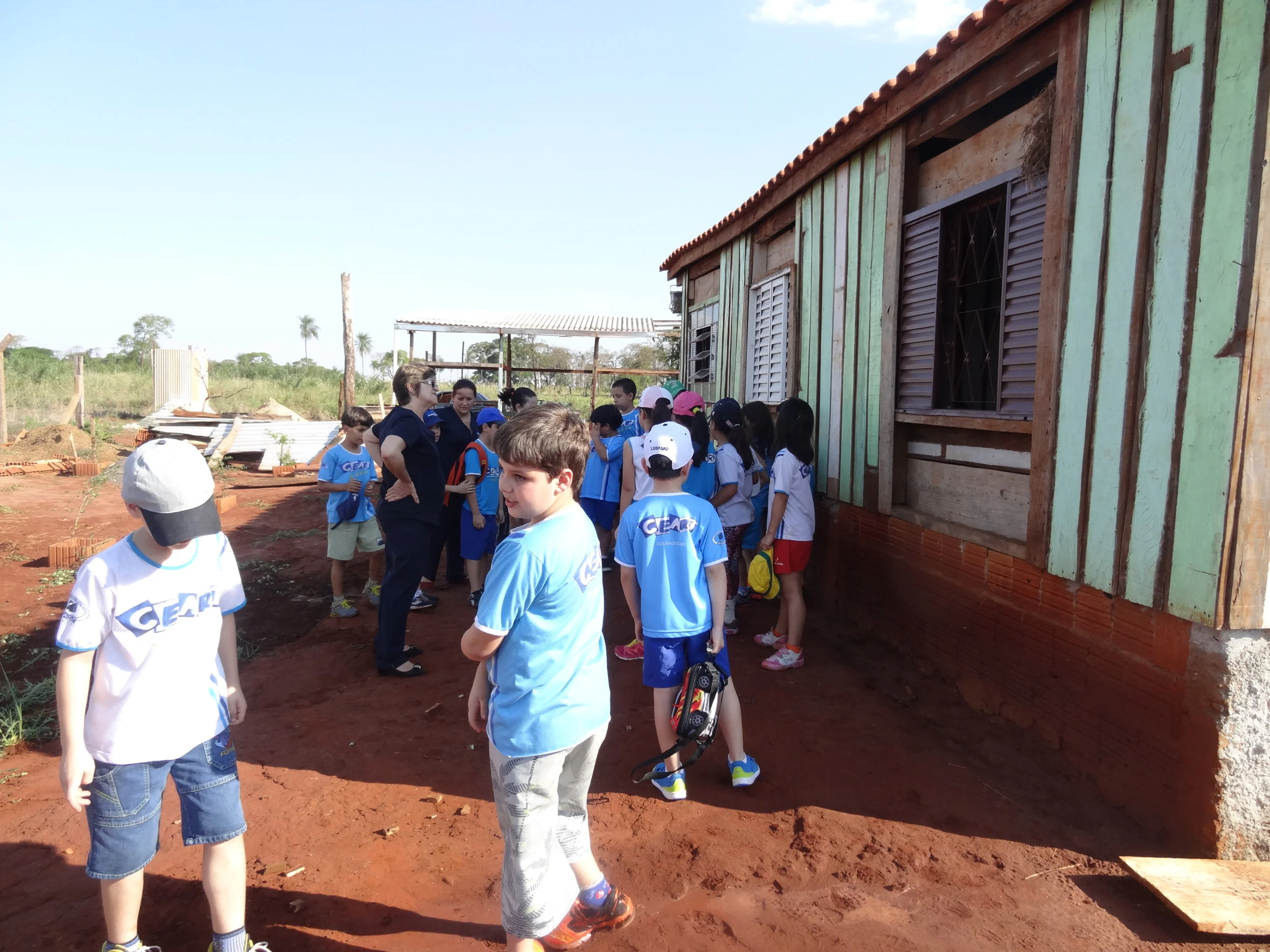 Projeto "Abelhas" - 2º ano B - Profª Eunice