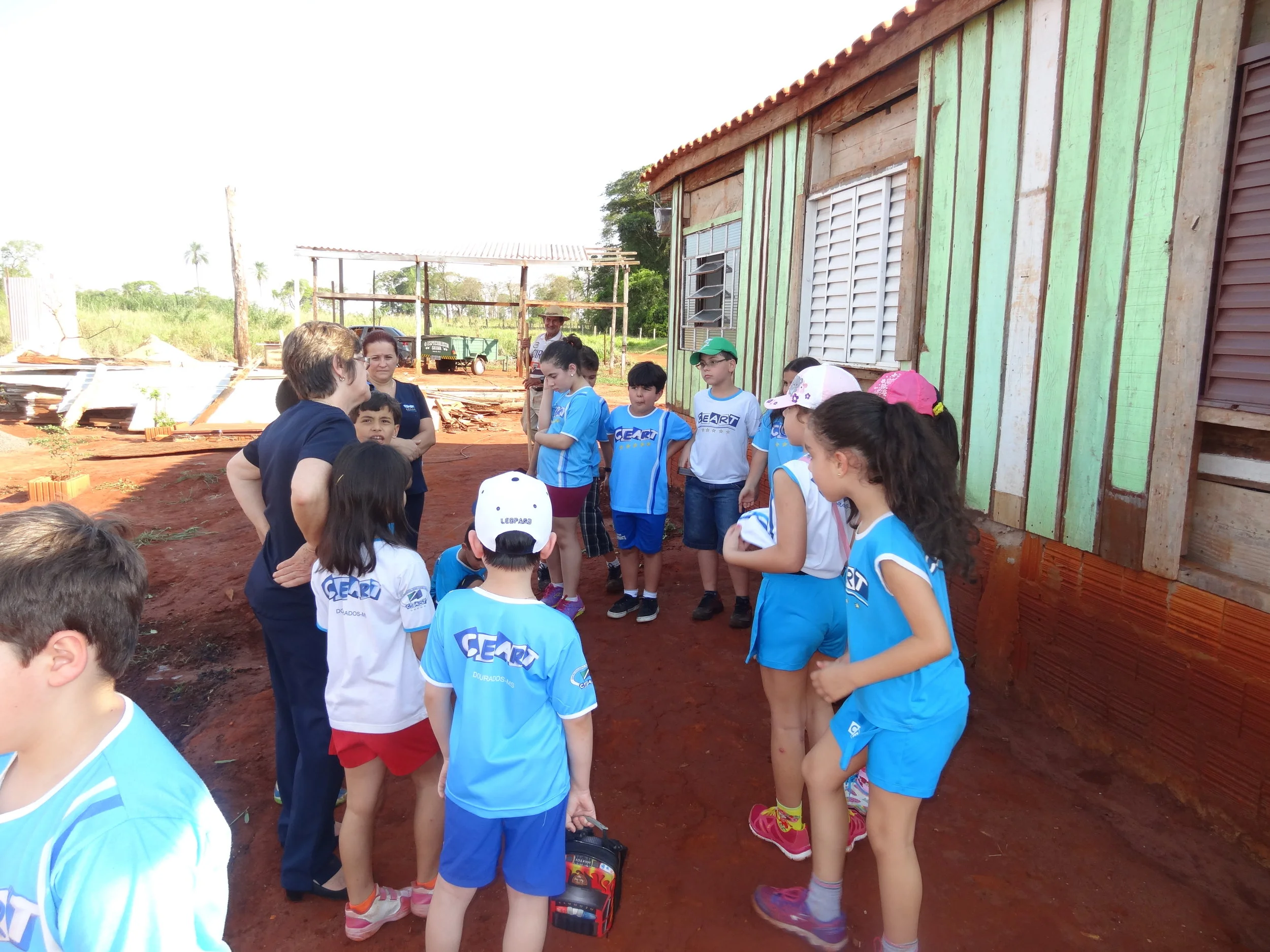 Projeto "Abelhas" - 2º ano B - Profª Eunice
