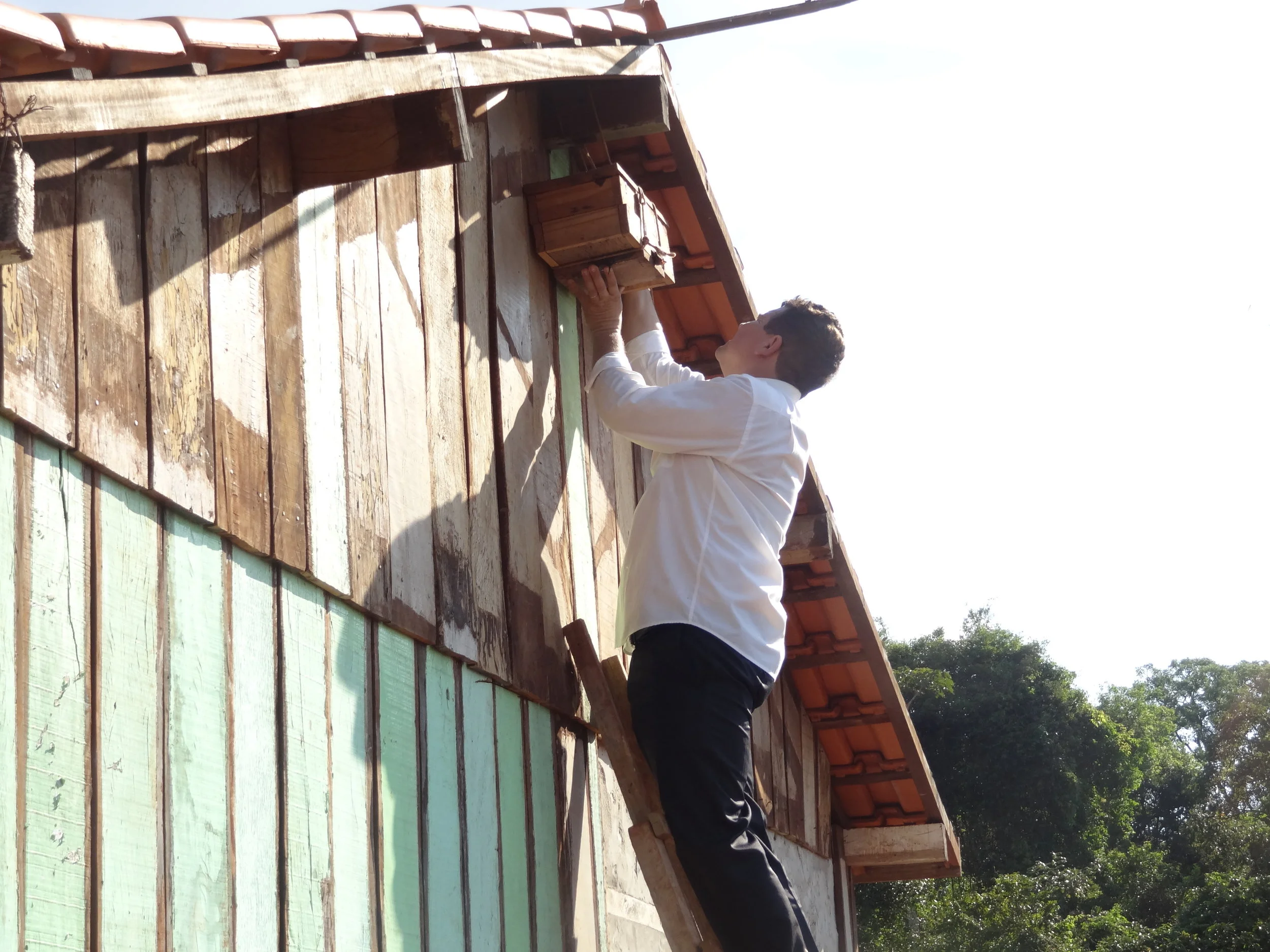Projeto "Abelhas" - 2º ano B - Profª Eunice
