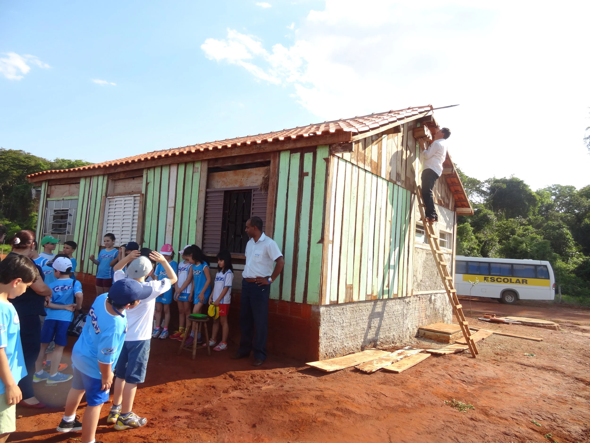 Projeto "Abelhas" - 2º ano B - Profª Eunice