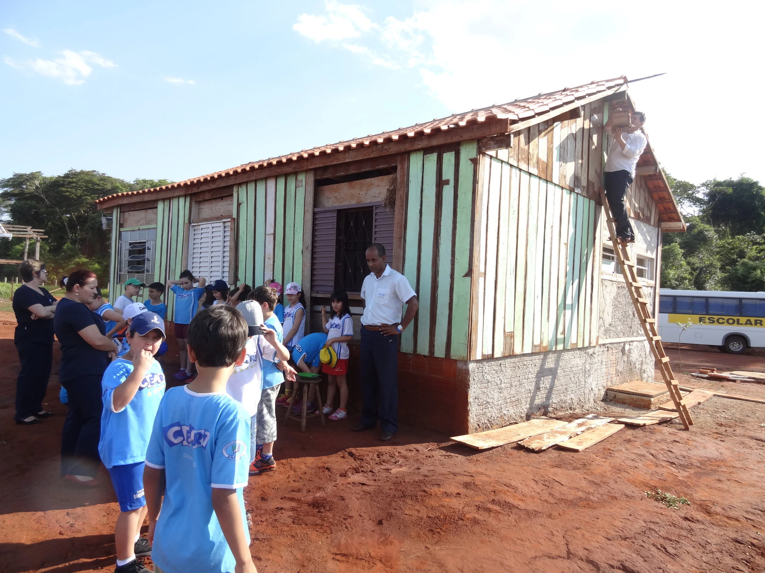 Projeto "Abelhas" - 2º ano B - Profª Eunice