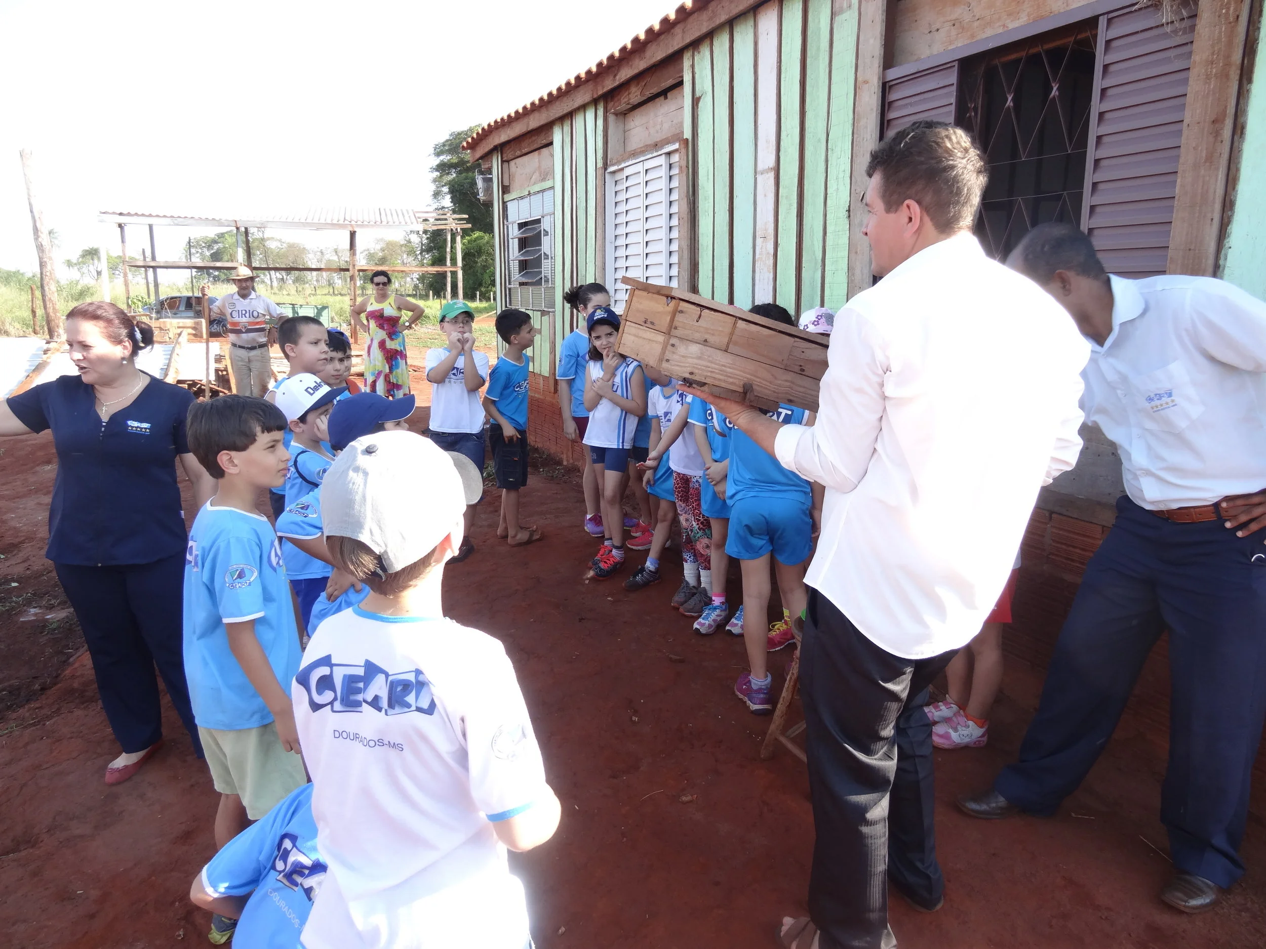 Projeto "Abelhas" - 2º ano B - Profª Eunice