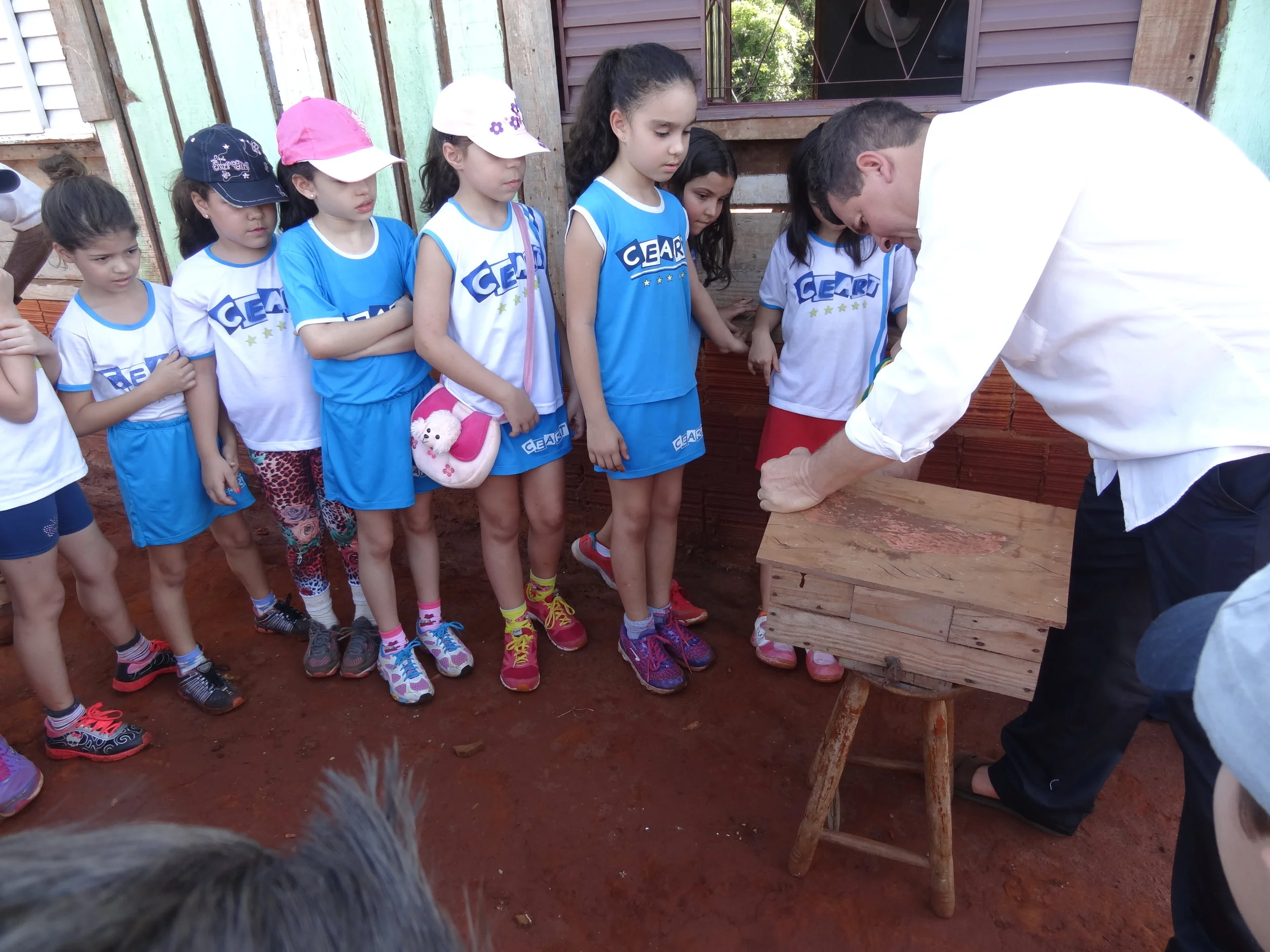 Projeto "Abelhas" - 2º ano B - Profª Eunice