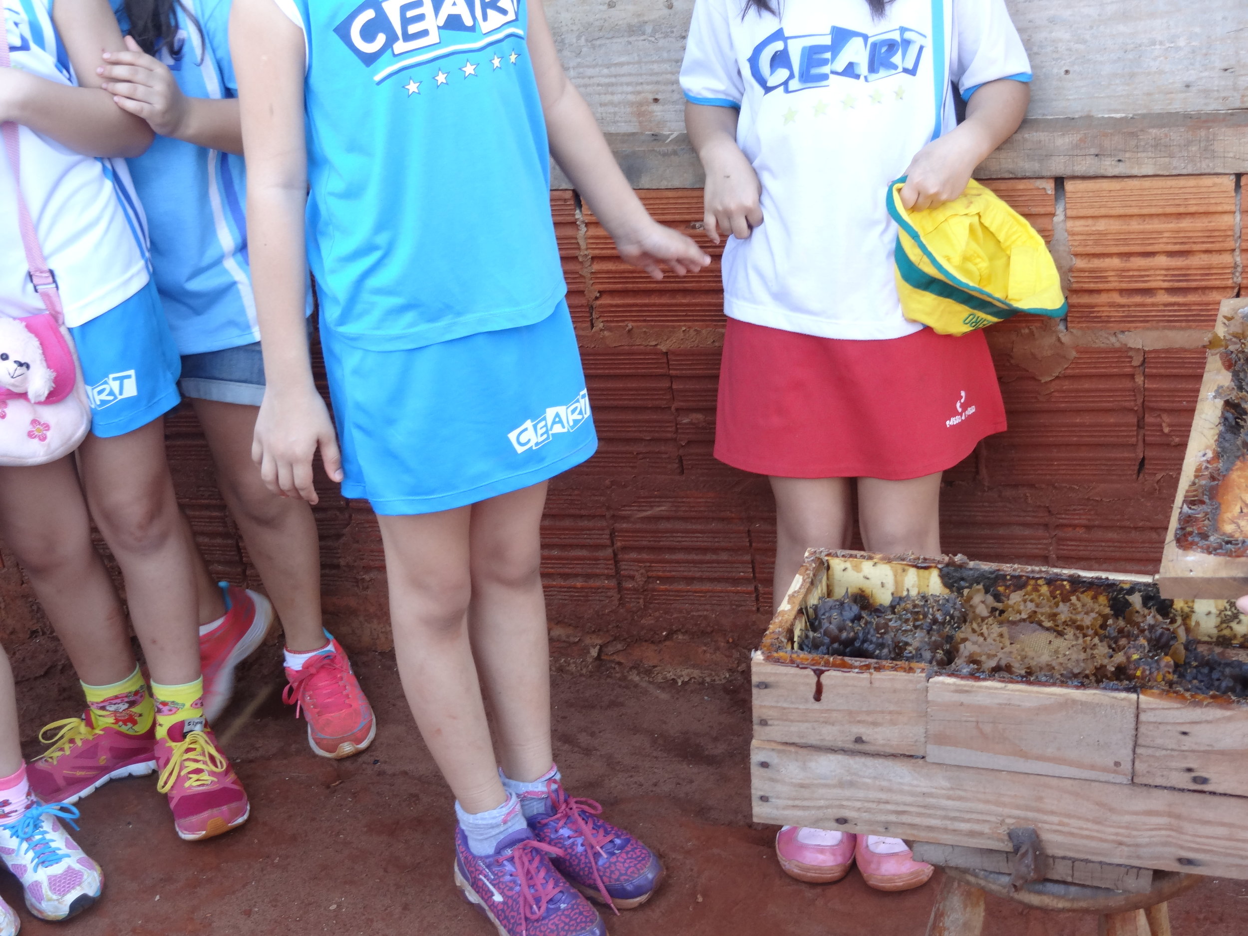 Projeto "Abelhas" - 2º ano B - Profª Eunice