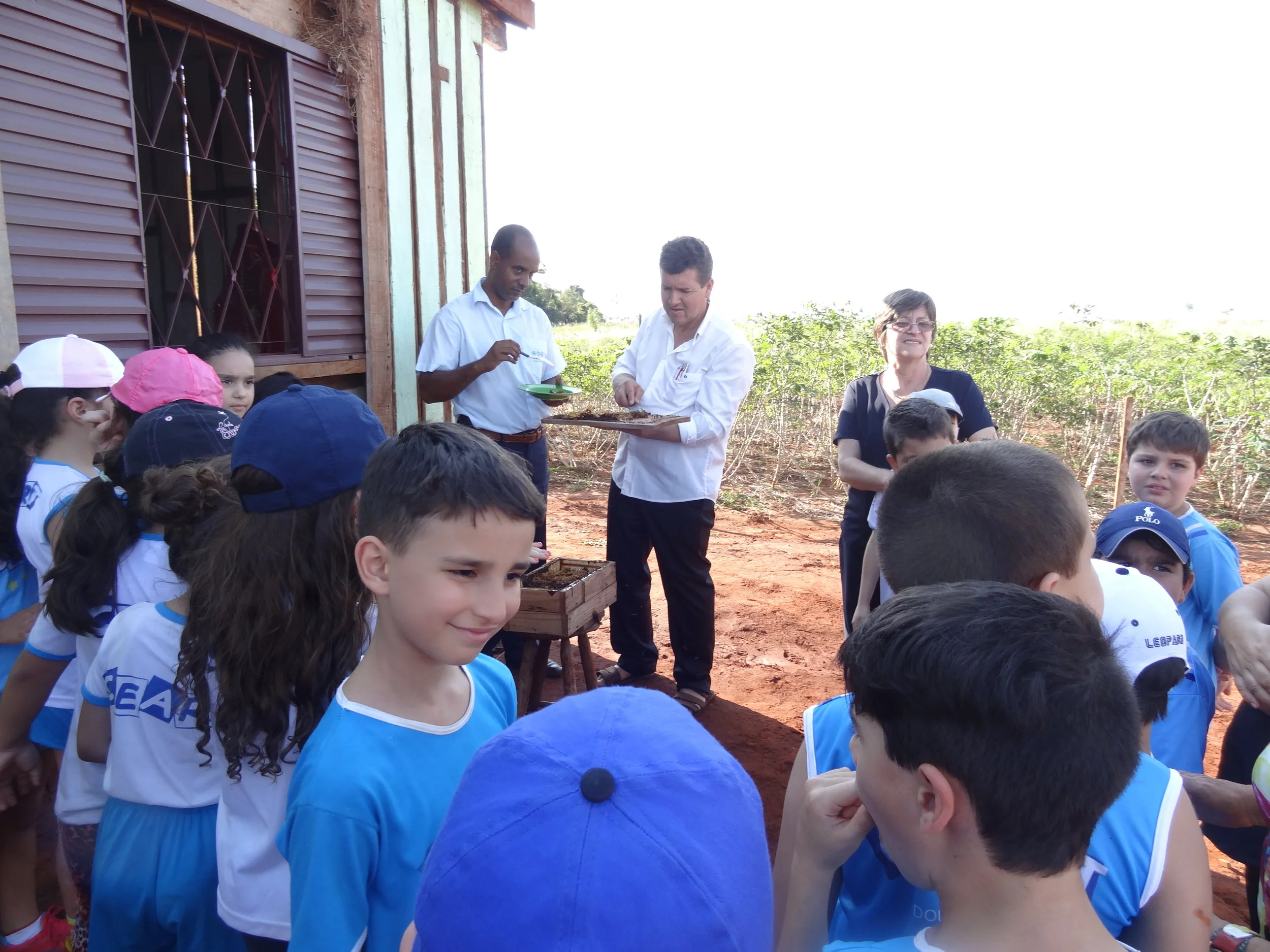 Projeto "Abelhas" - 2º ano B - Profª Eunice