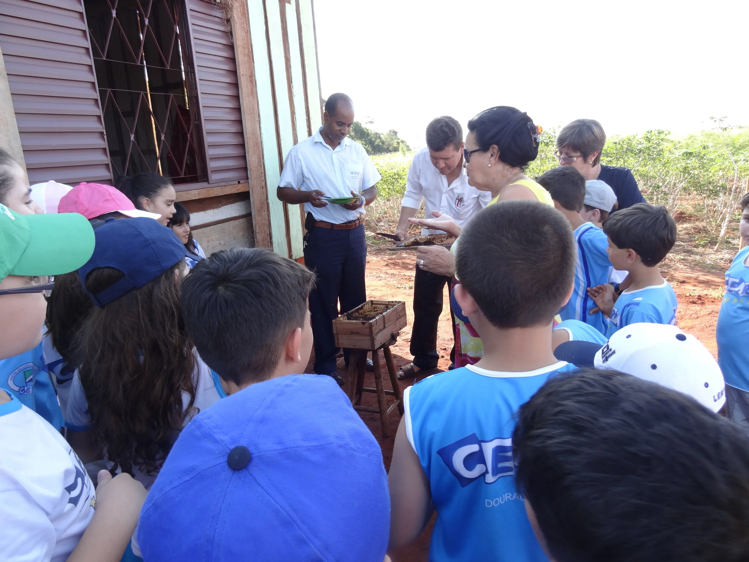Projeto "Abelhas" - 2º ano B - Profª Eunice