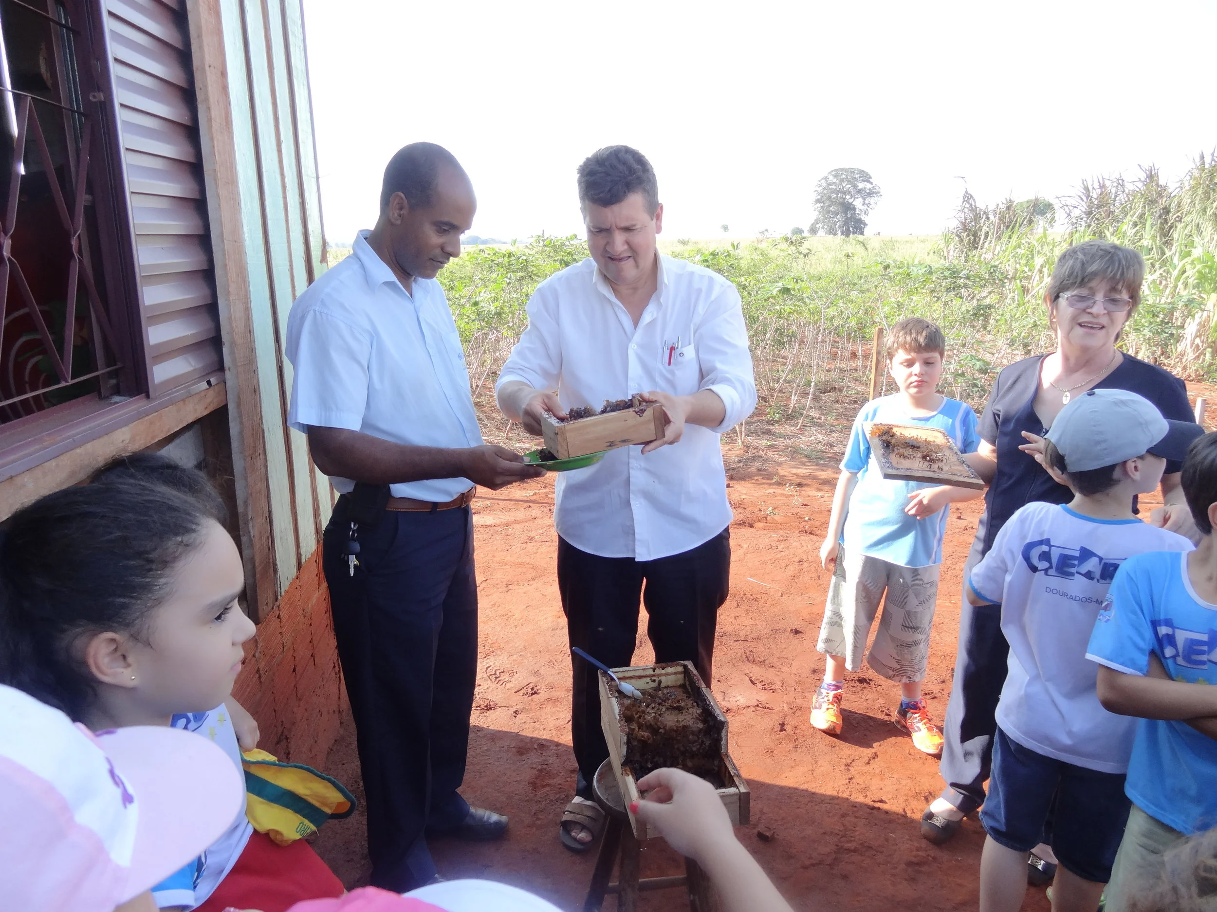 Projeto "Abelhas" - 2º ano B - Profª Eunice