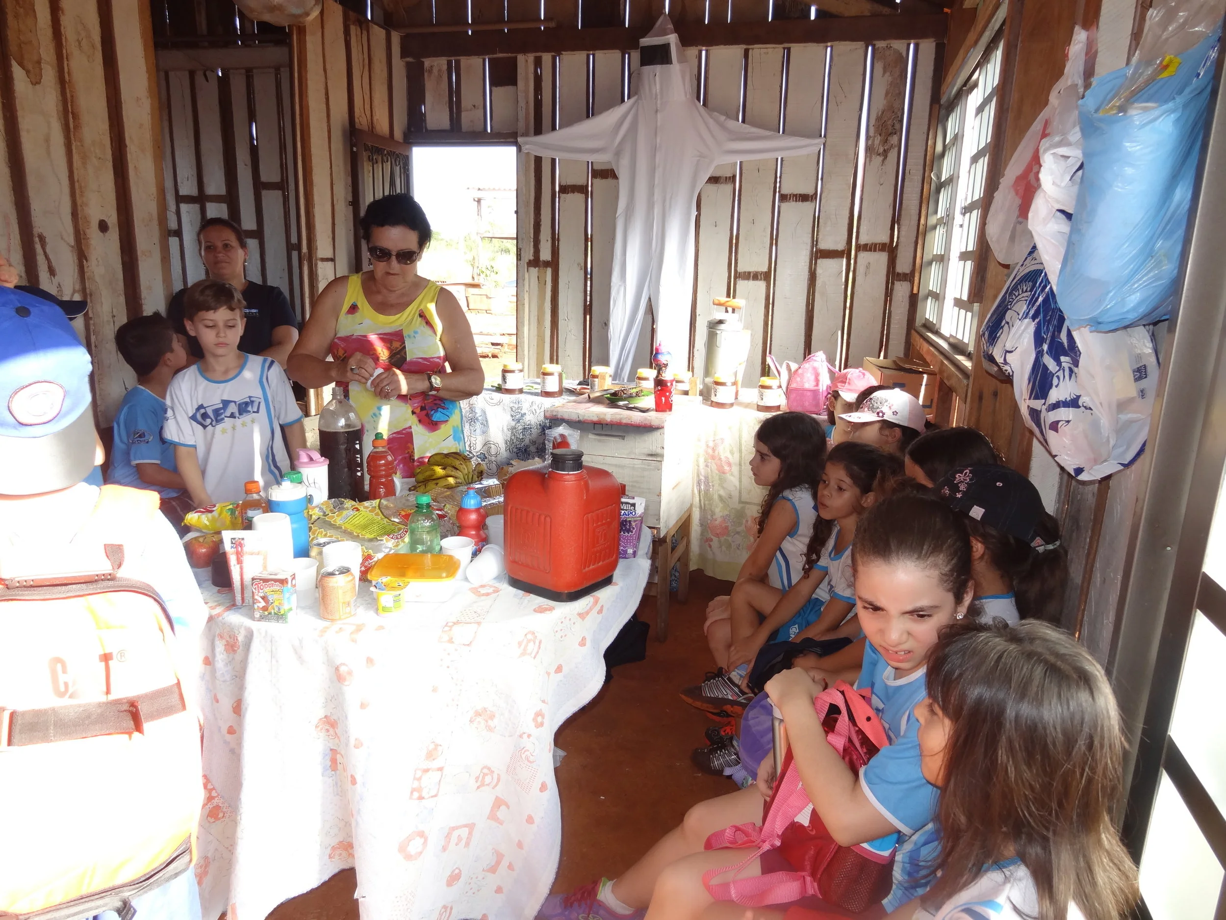 Projeto "Abelhas" - 2º ano B - Profª Eunice