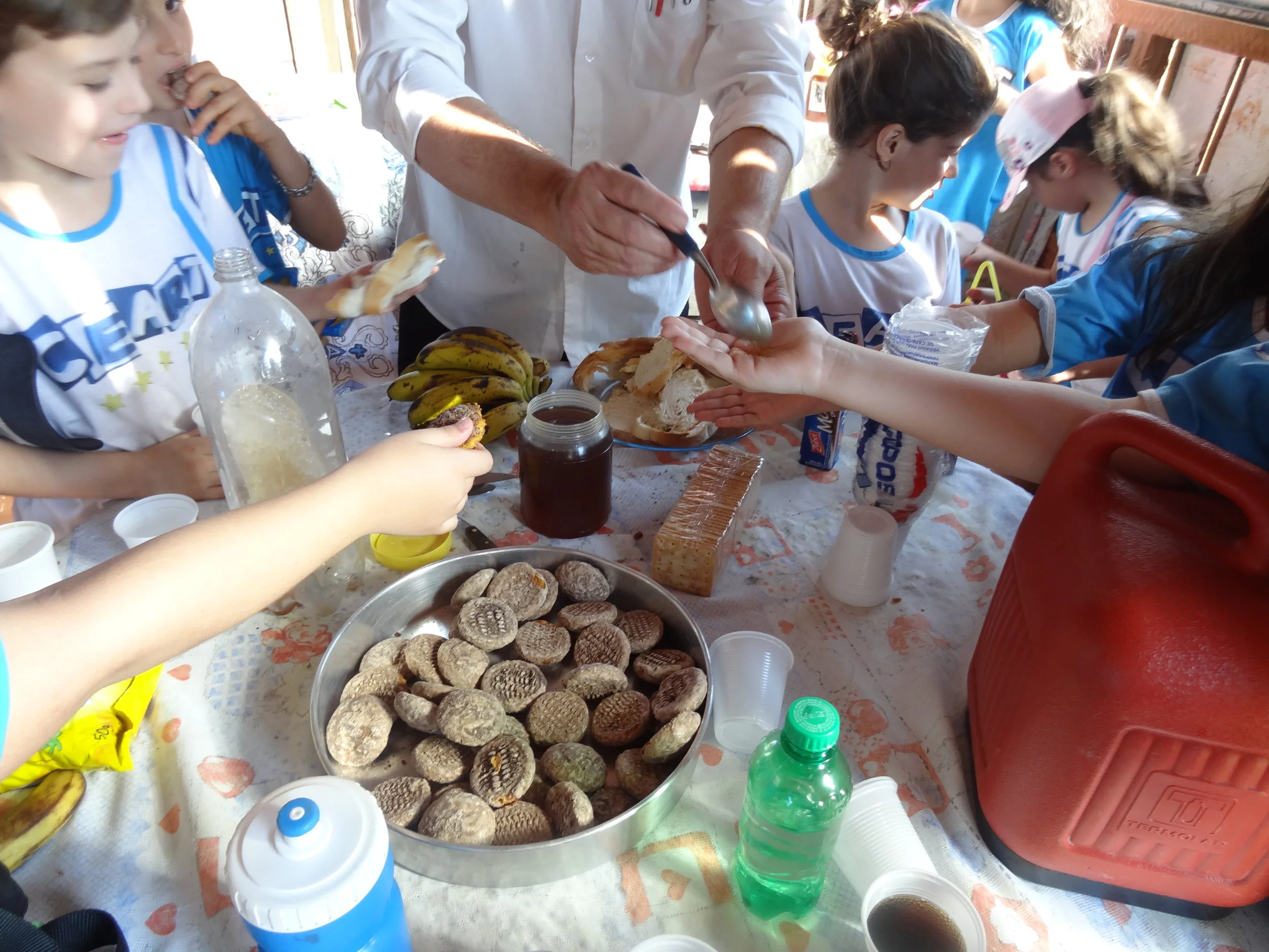 Projeto "Abelhas" - 2º ano B - Profª Eunice