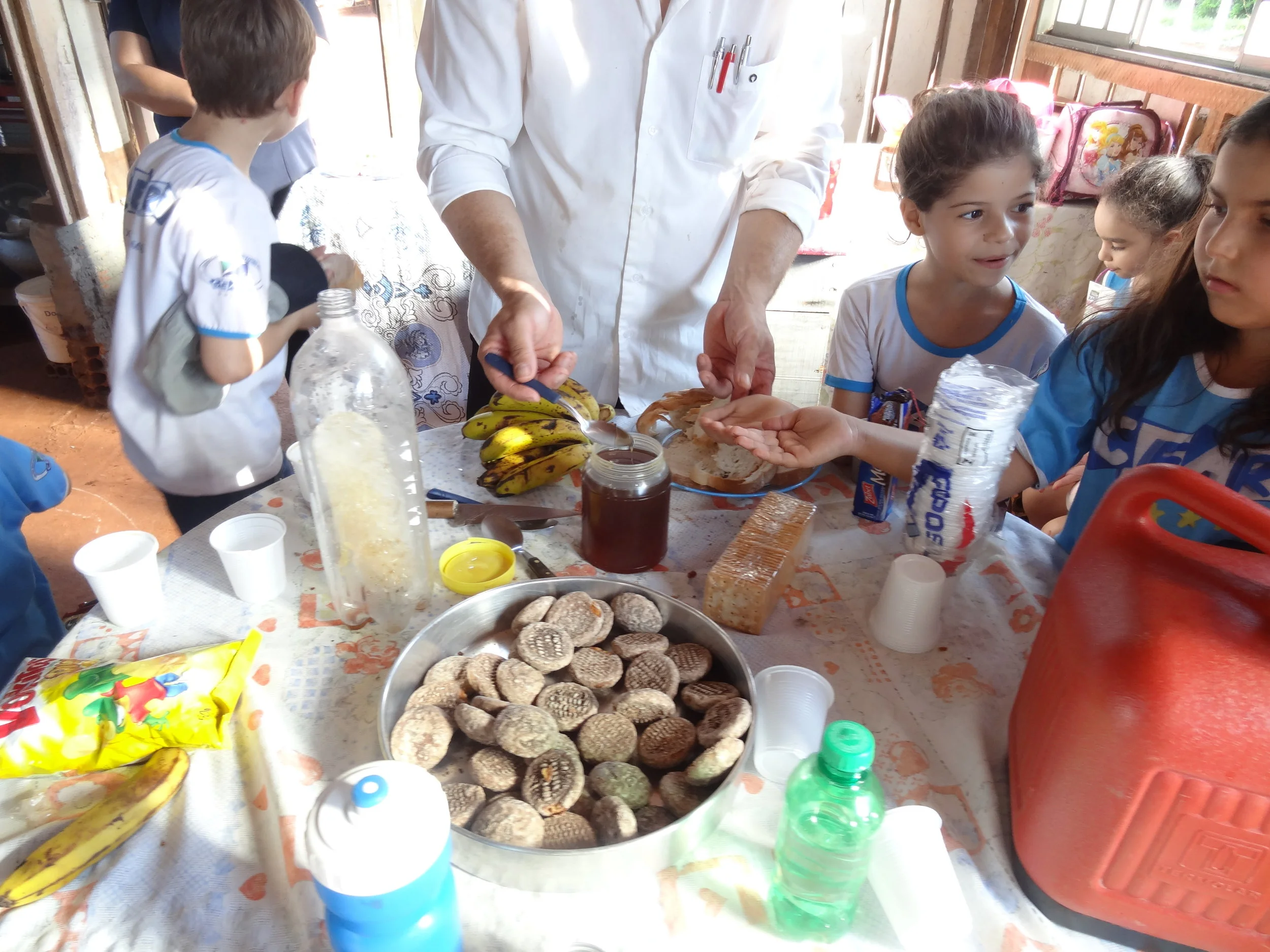 Projeto "Abelhas" - 2º ano B - Profª Eunice