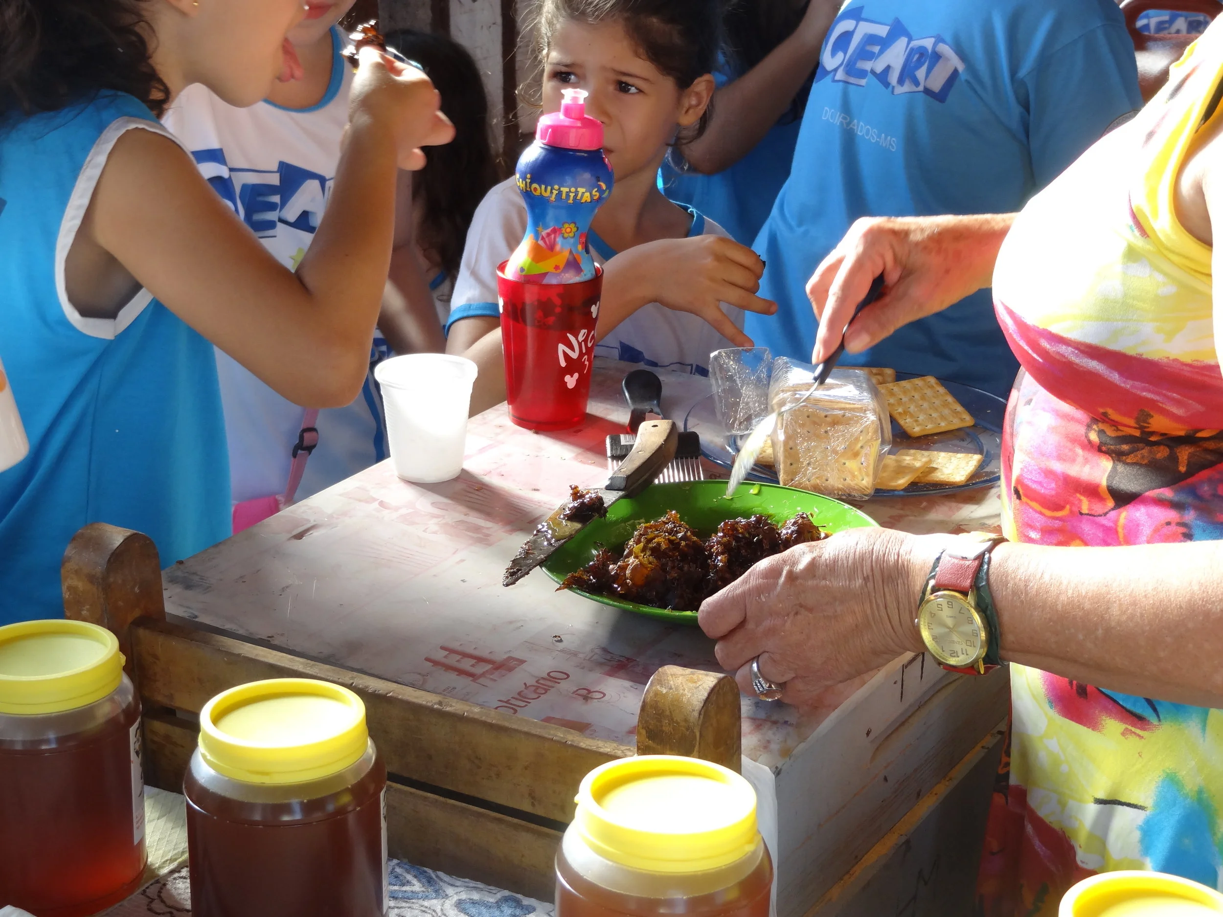 Projeto "Abelhas" - 2º ano B - Profª Eunice