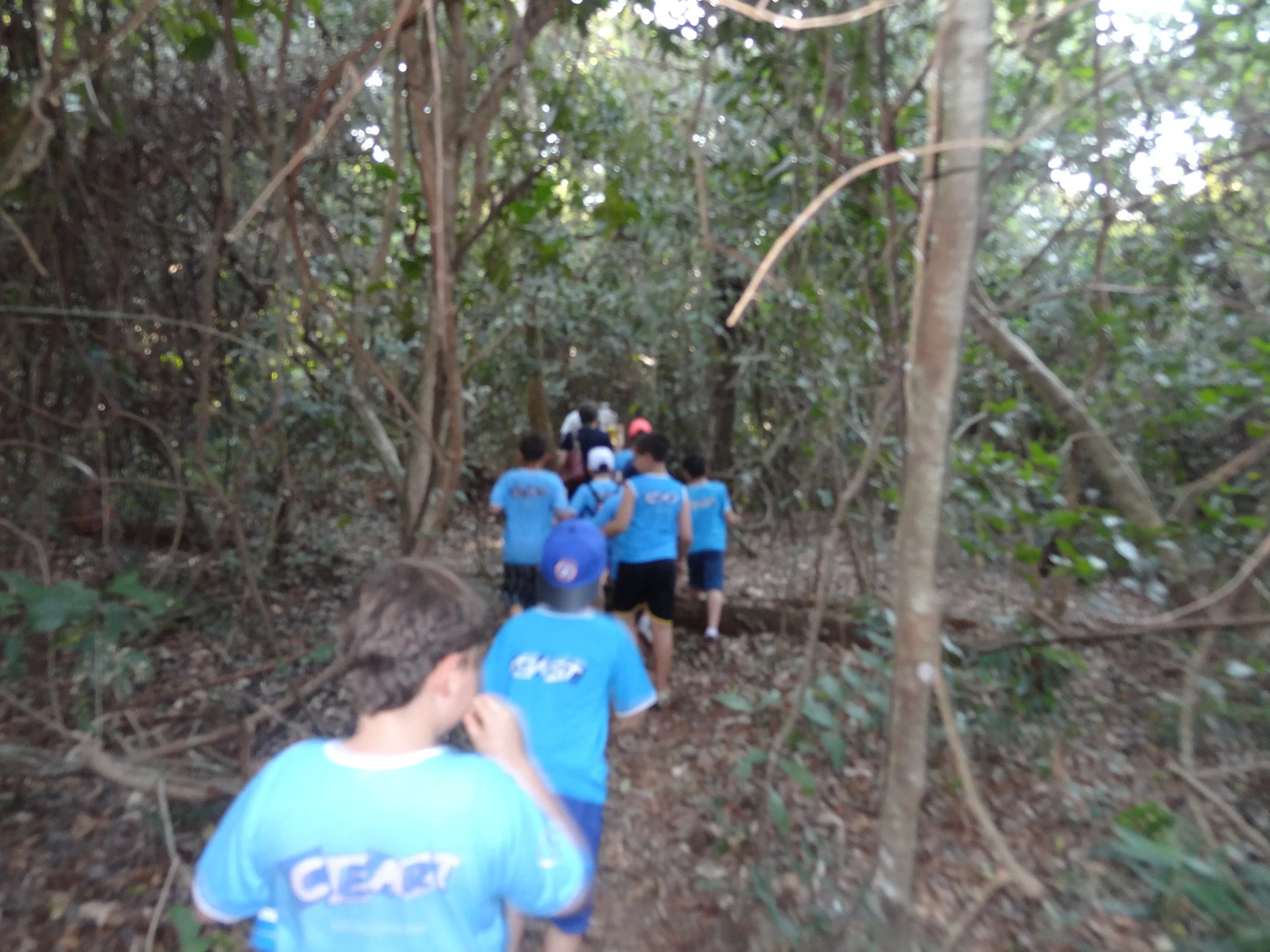 Projeto "Abelhas" - 2º ano B - Profª Eunice