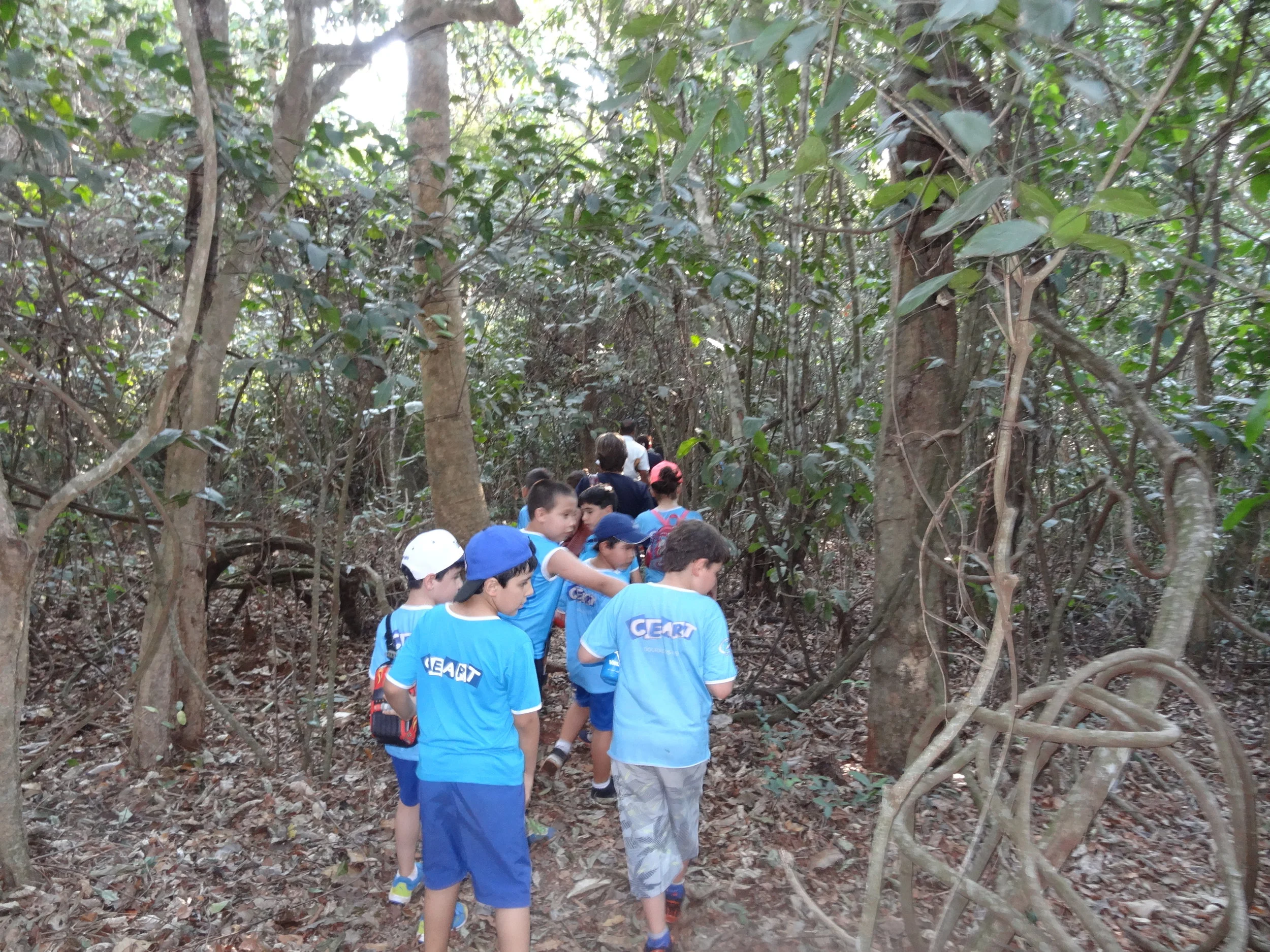 Projeto "Abelhas" - 2º ano B - Profª Eunice