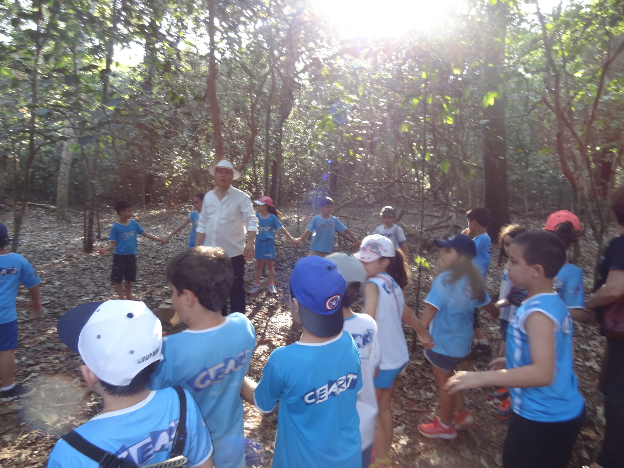 Projeto "Abelhas" - 2º ano B - Profª Eunice