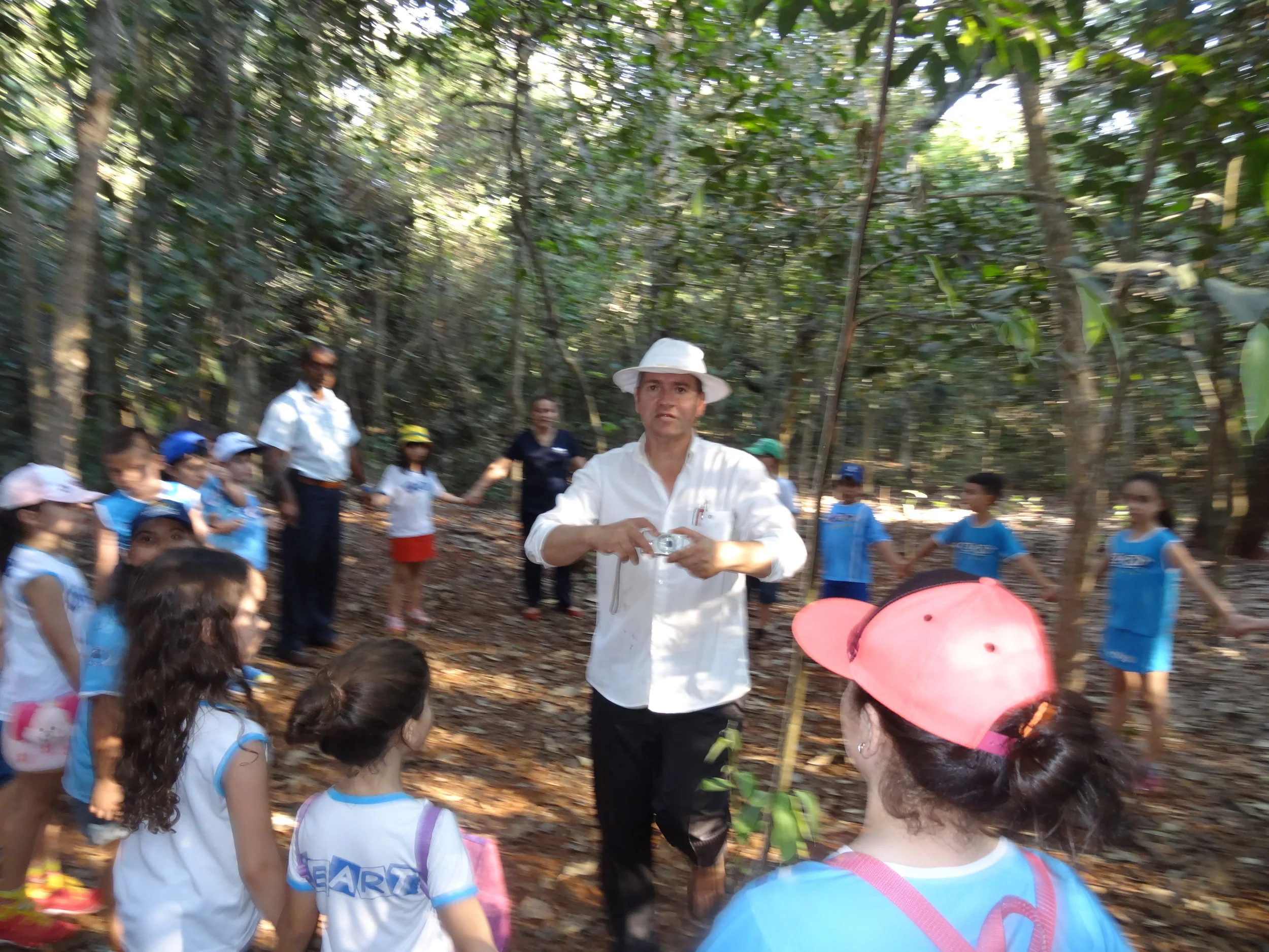 Projeto "Abelhas" - 2º ano B - Profª Eunice