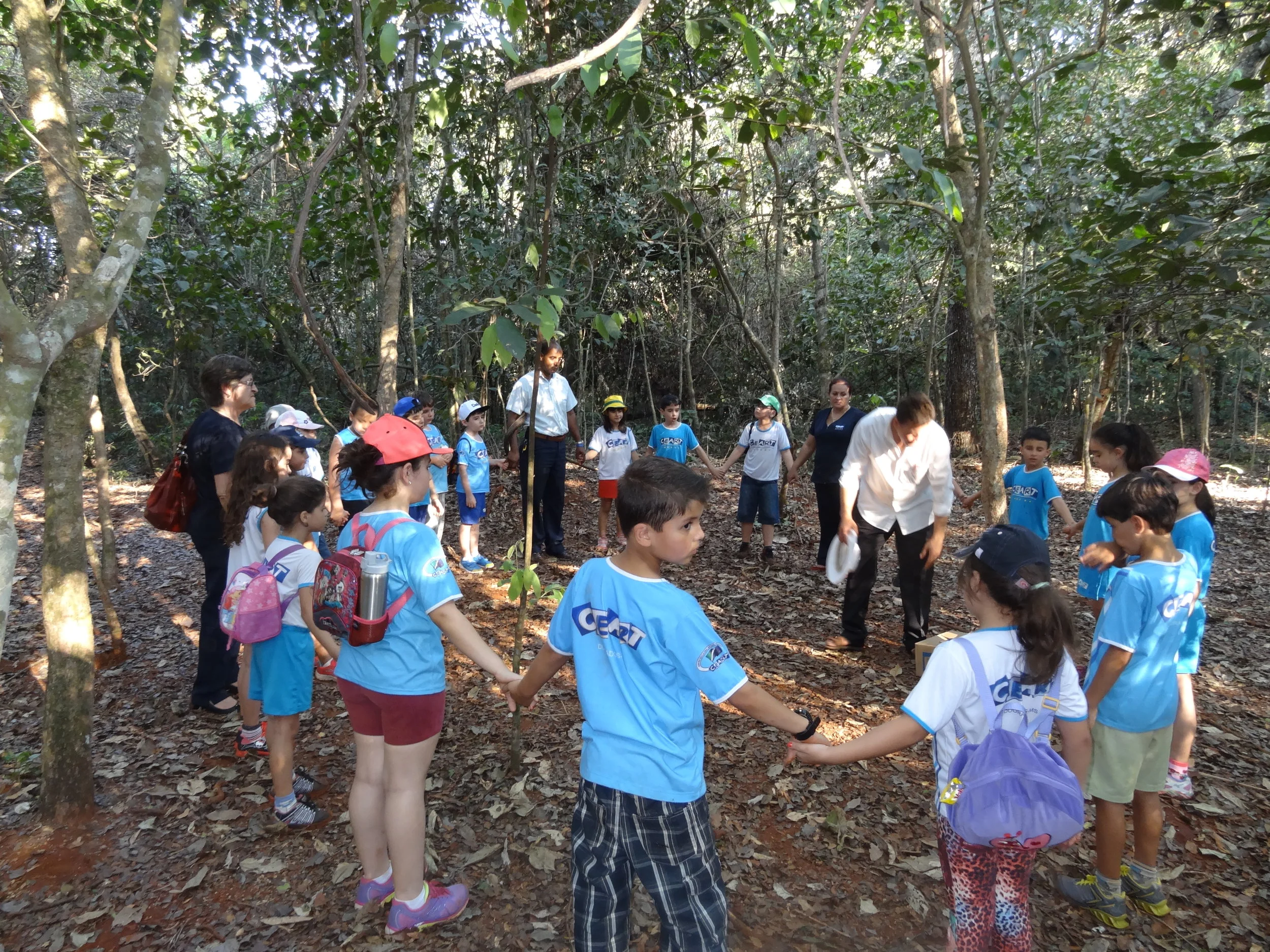 Projeto "Abelhas" - 2º ano B - Profª Eunice