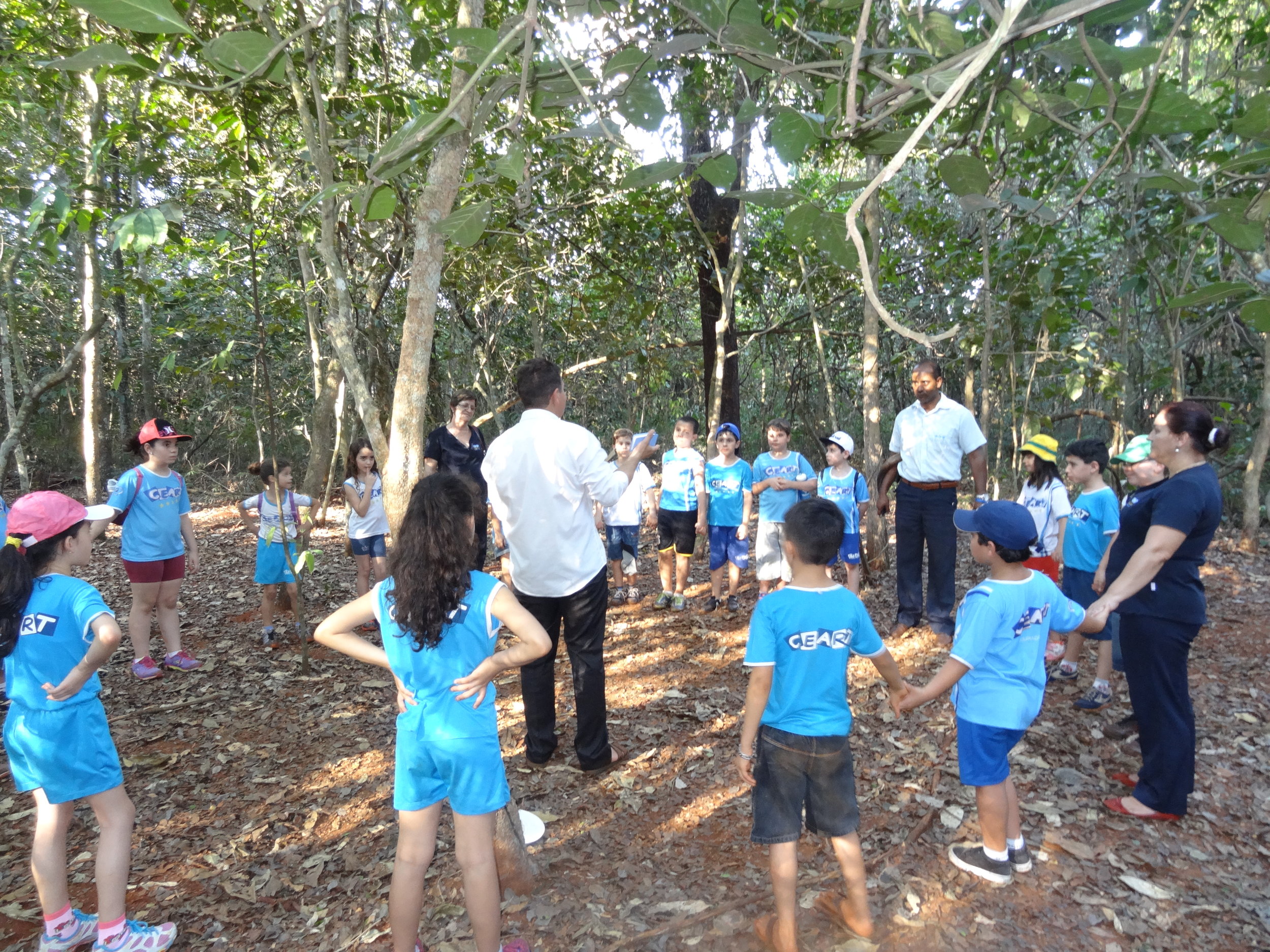 Projeto "Abelhas" - 2º ano B - Profª Eunice