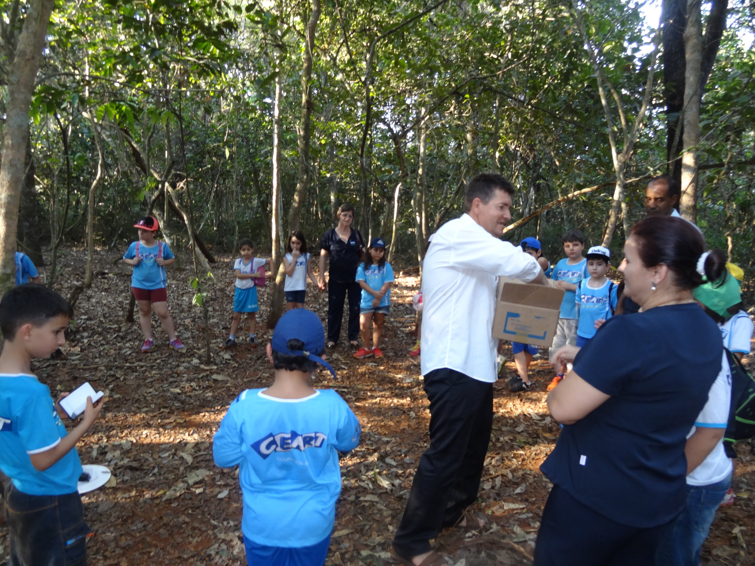 Projeto "Abelhas" - 2º ano B - Profª Eunice