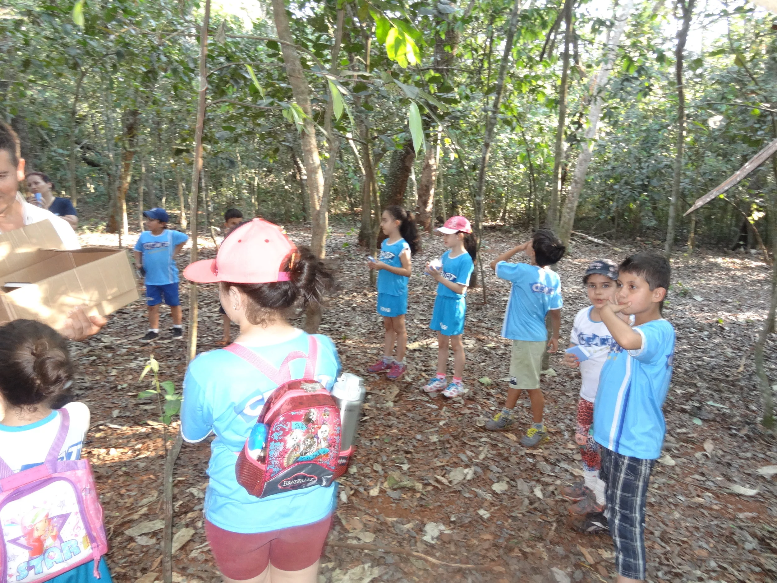 Projeto "Abelhas" - 2º ano B - Profª Eunice