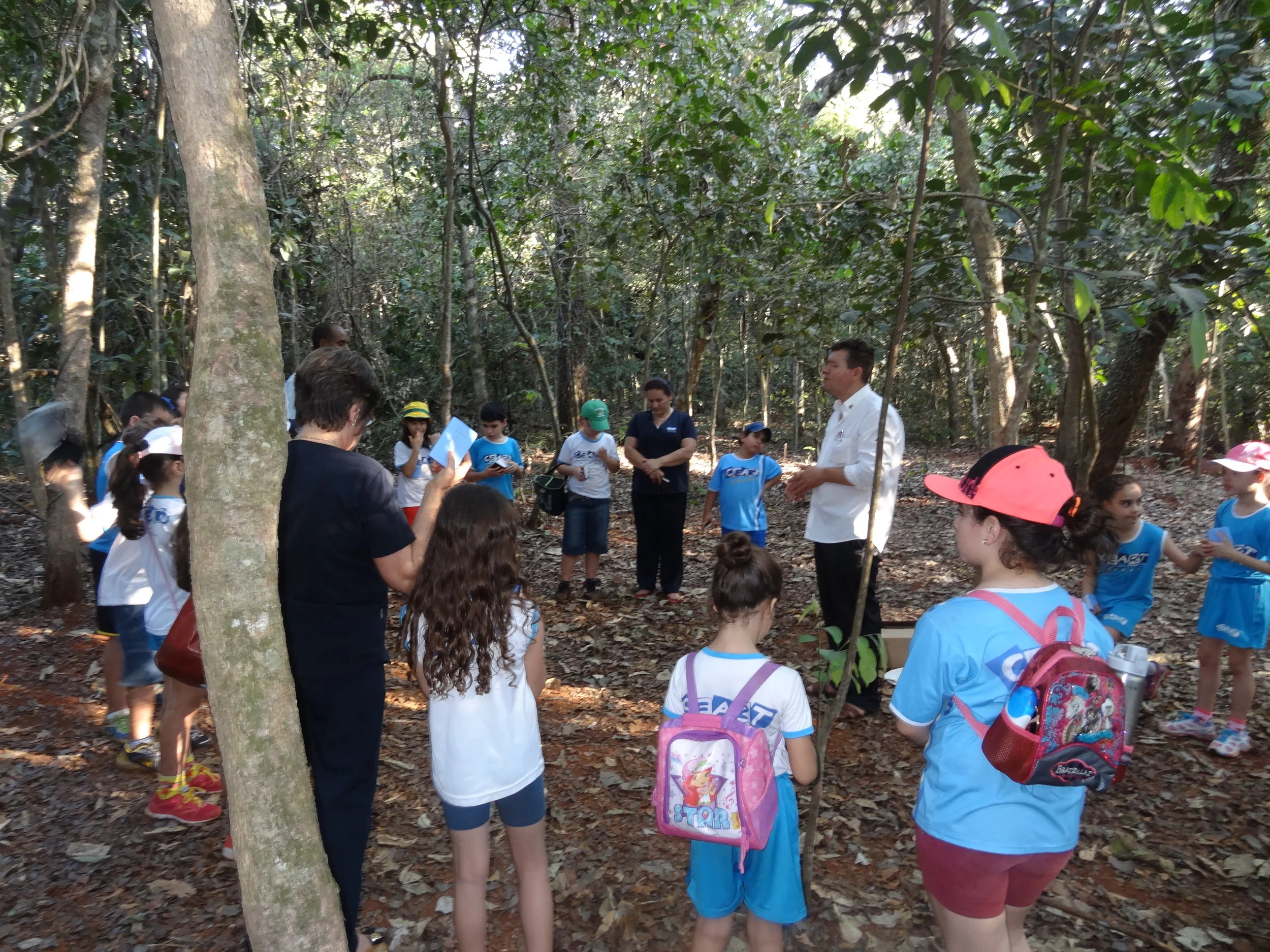 Projeto "Abelhas" - 2º ano B - Profª Eunice