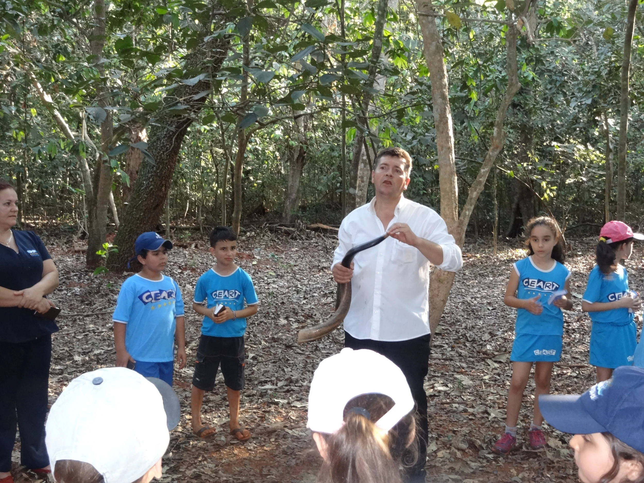 Projeto "Abelhas" - 2º ano B - Profª Eunice