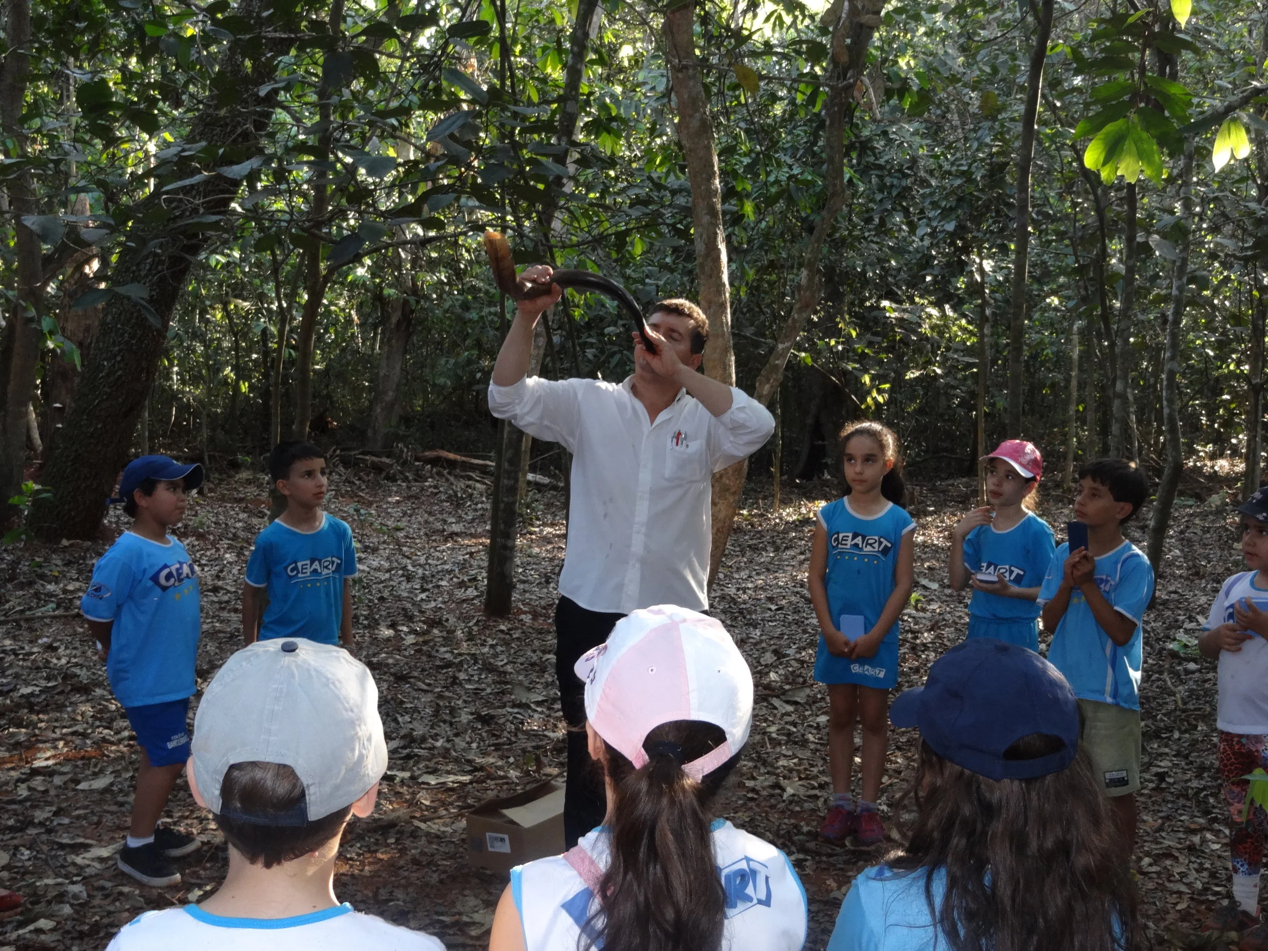 Projeto "Abelhas" - 2º ano B - Profª Eunice