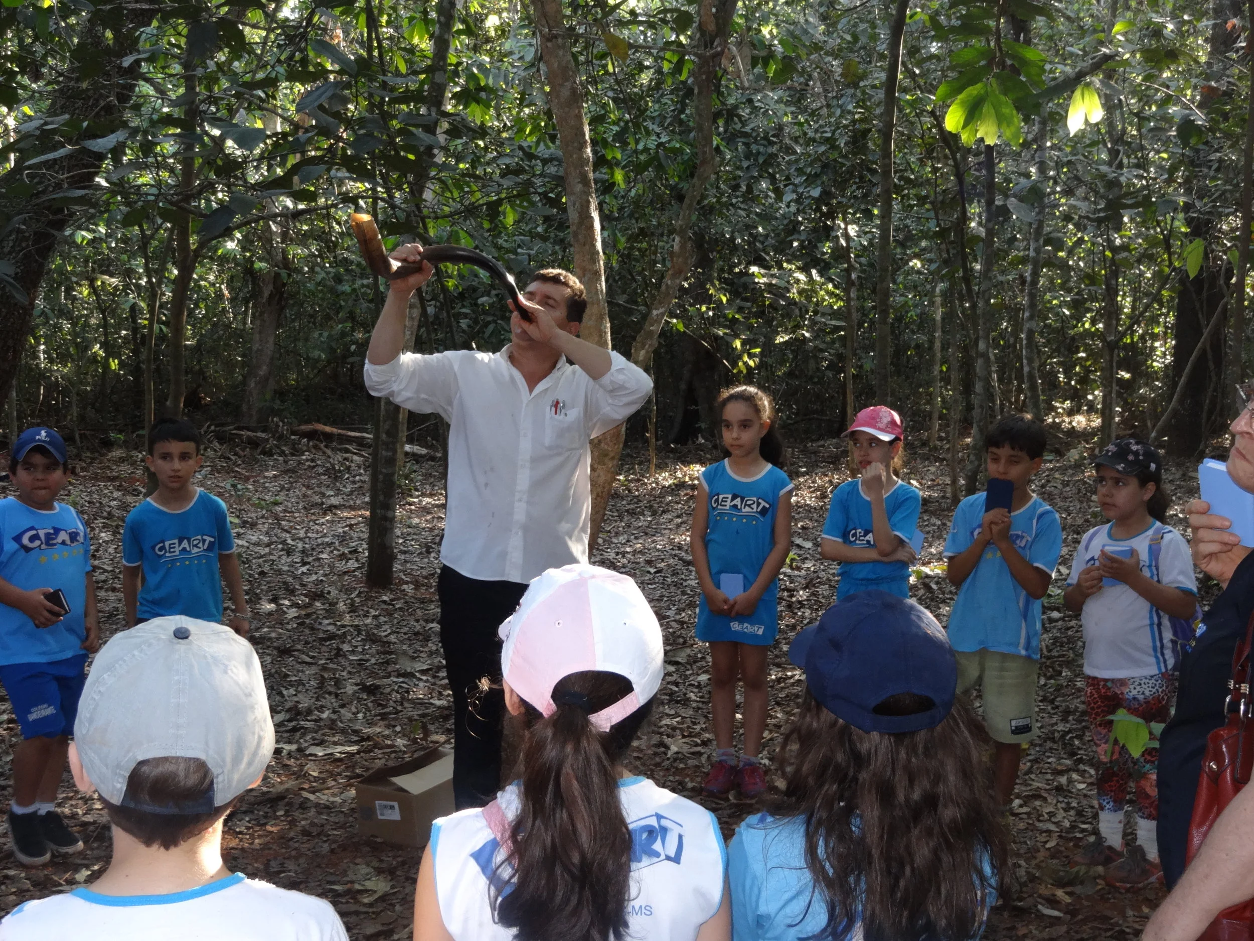 Projeto "Abelhas" - 2º ano B - Profª Eunice