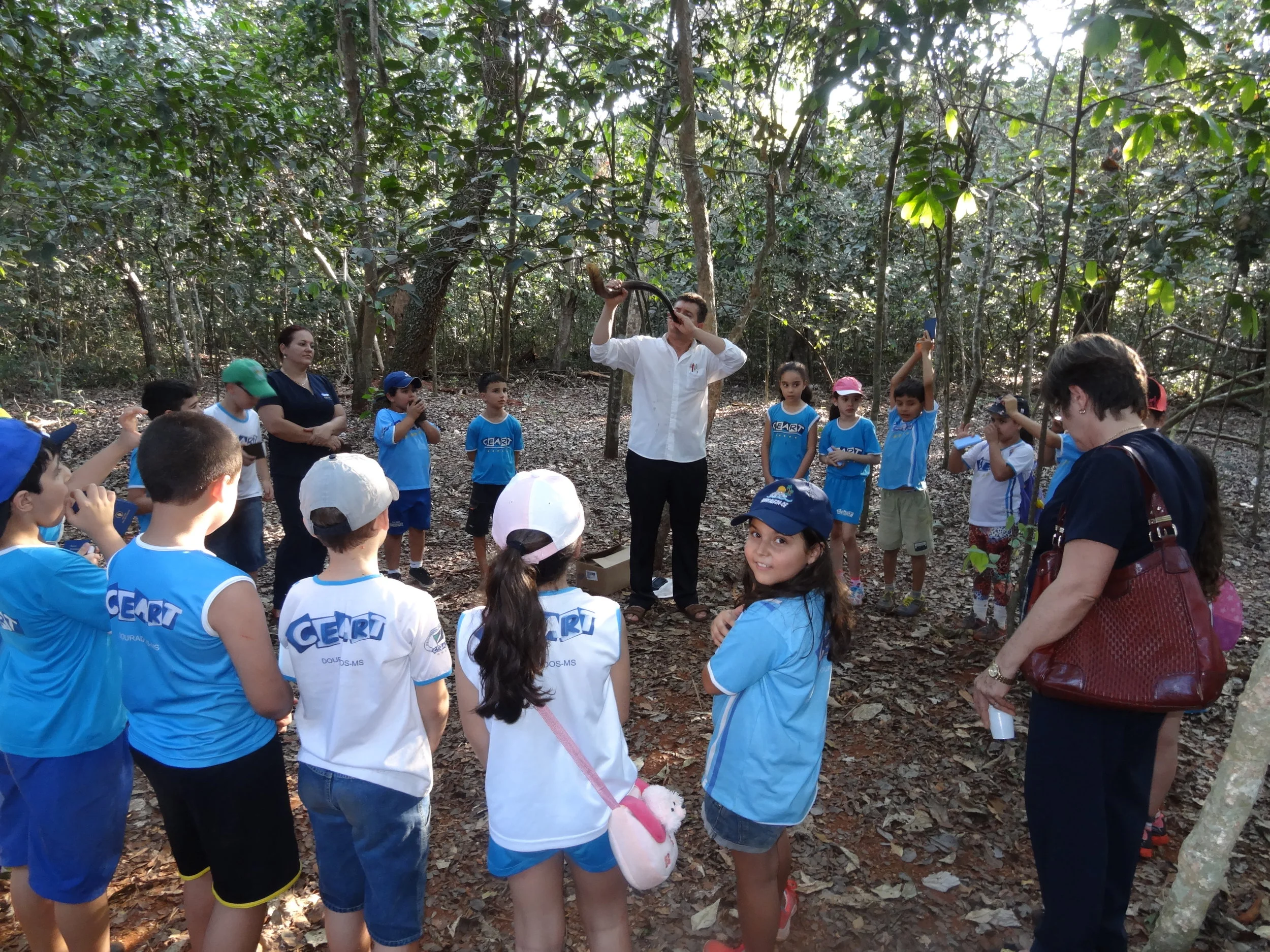Projeto "Abelhas" - 2º ano B - Profª Eunice