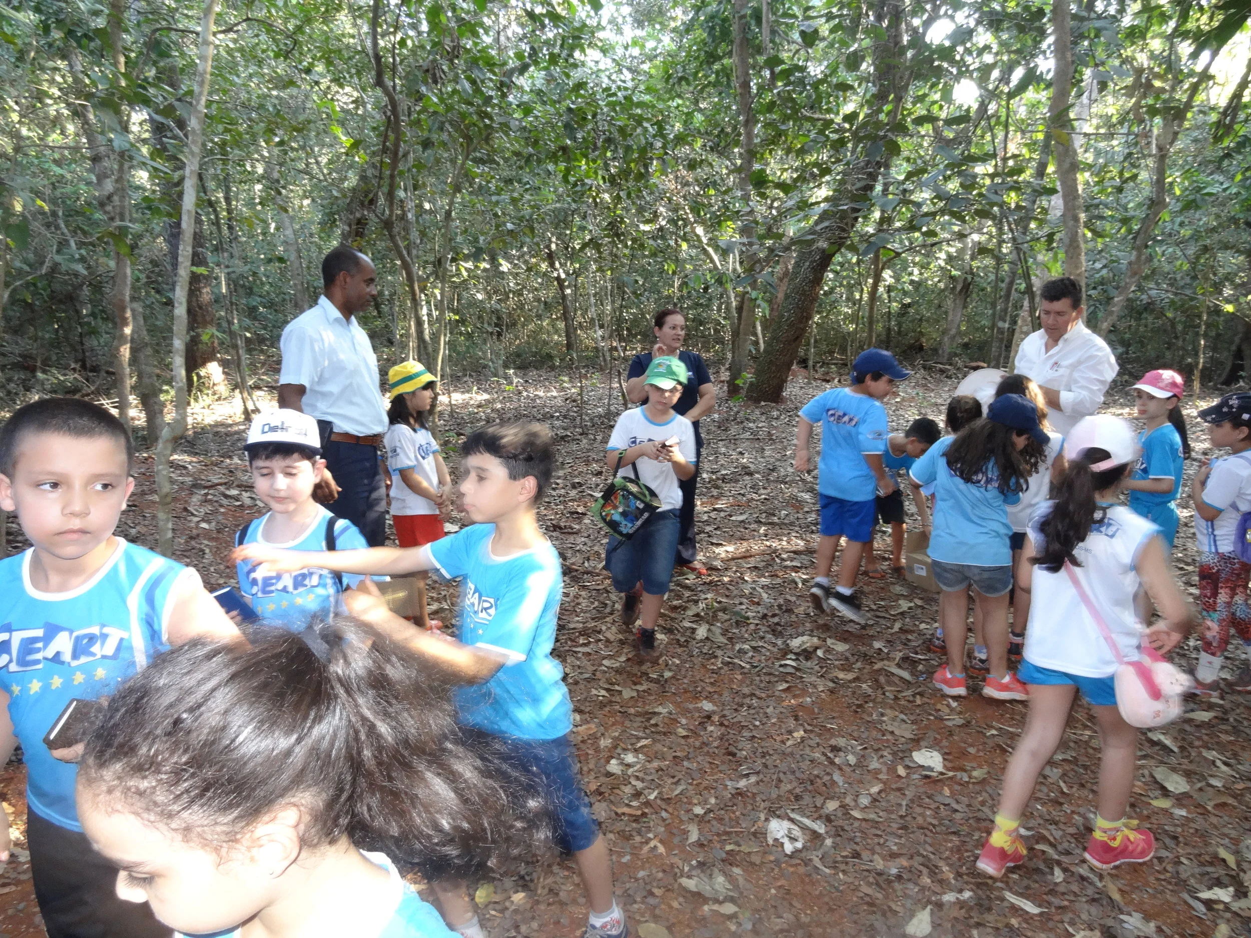 Projeto "Abelhas" - 2º ano B - Profª Eunice