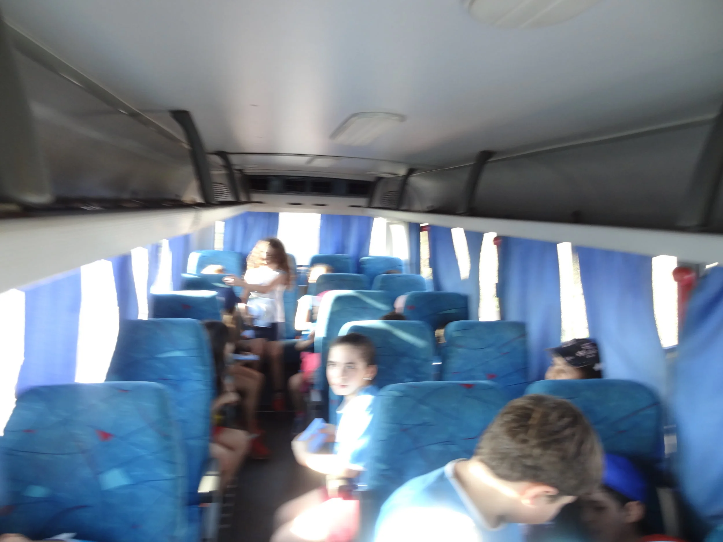 Projeto "Abelhas" - 2º ano B - Profª Eunice