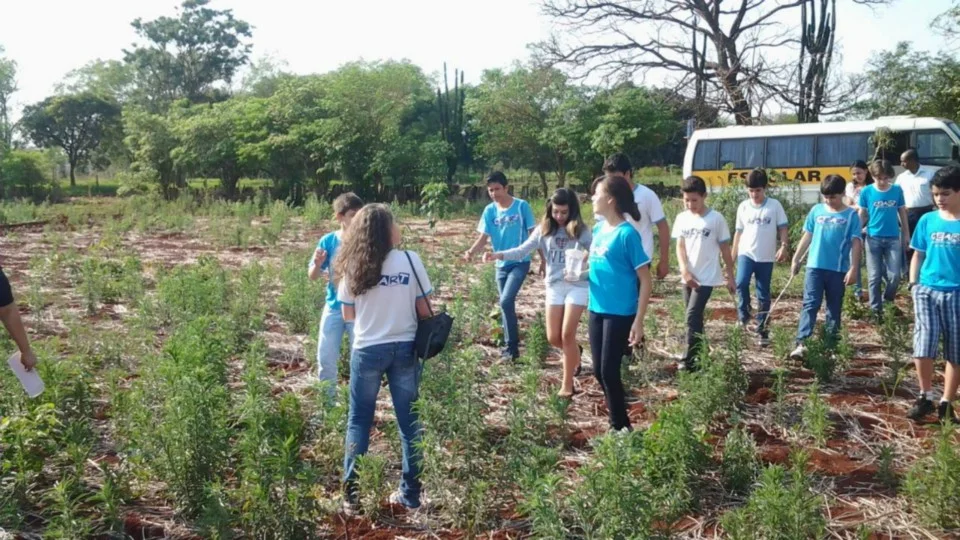 Aula de Campo - Turma 7º A - Profª Alessandra Aula de Campo - Turma 7º A - Profª Alessandra